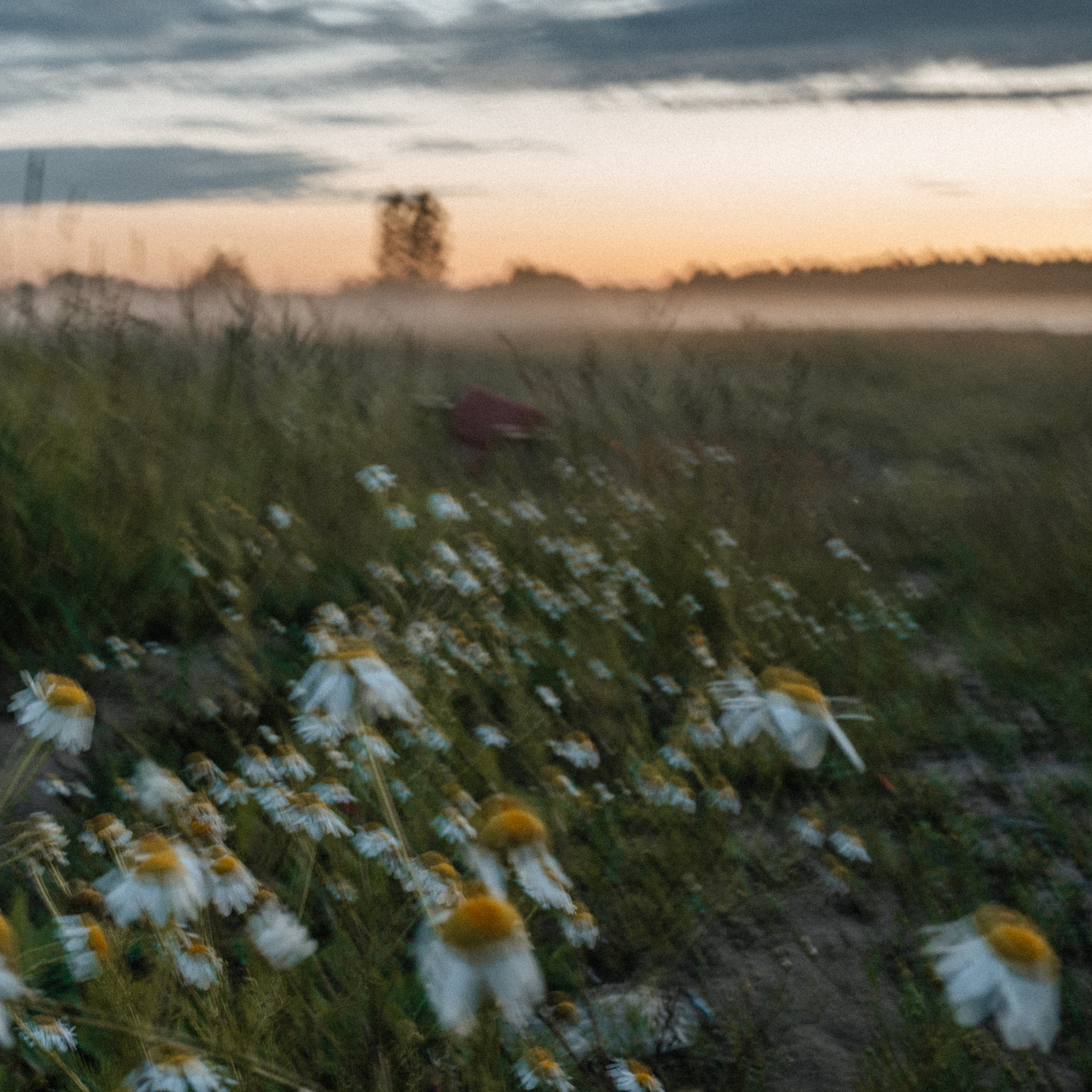 Наш последний снег. <3