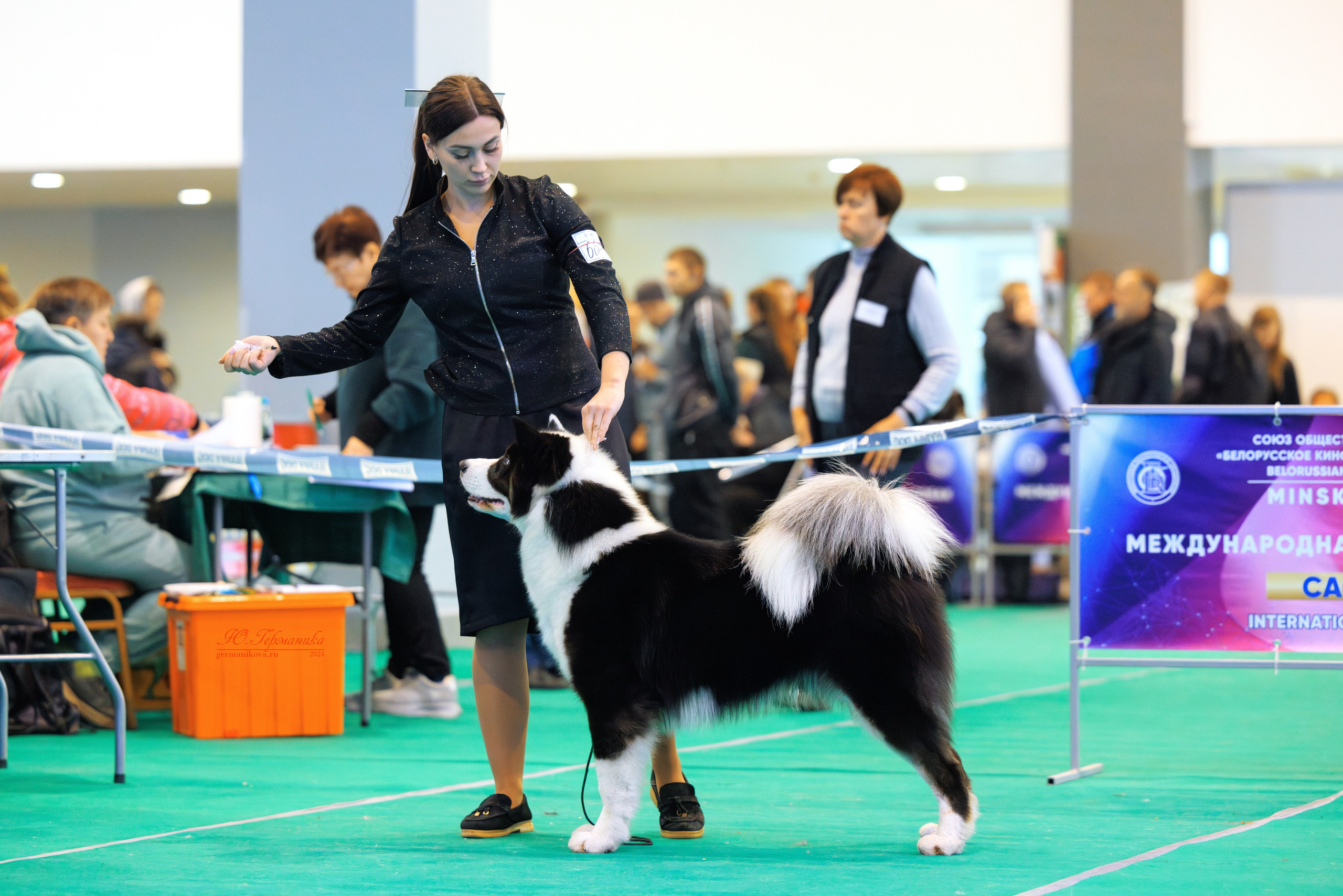 Минск 23.11.2024. Фотограф-анималист Юлия Германика