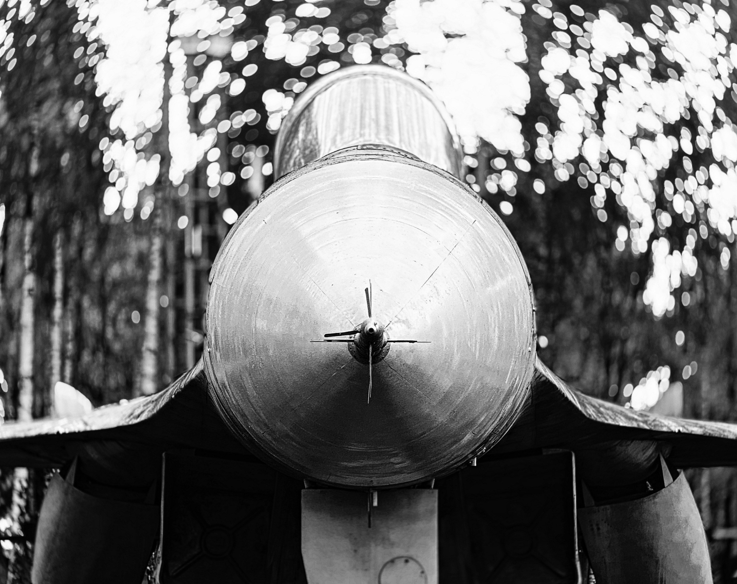 Работы с телефона. Свадебный фотограф в Москве Сафонова Анна