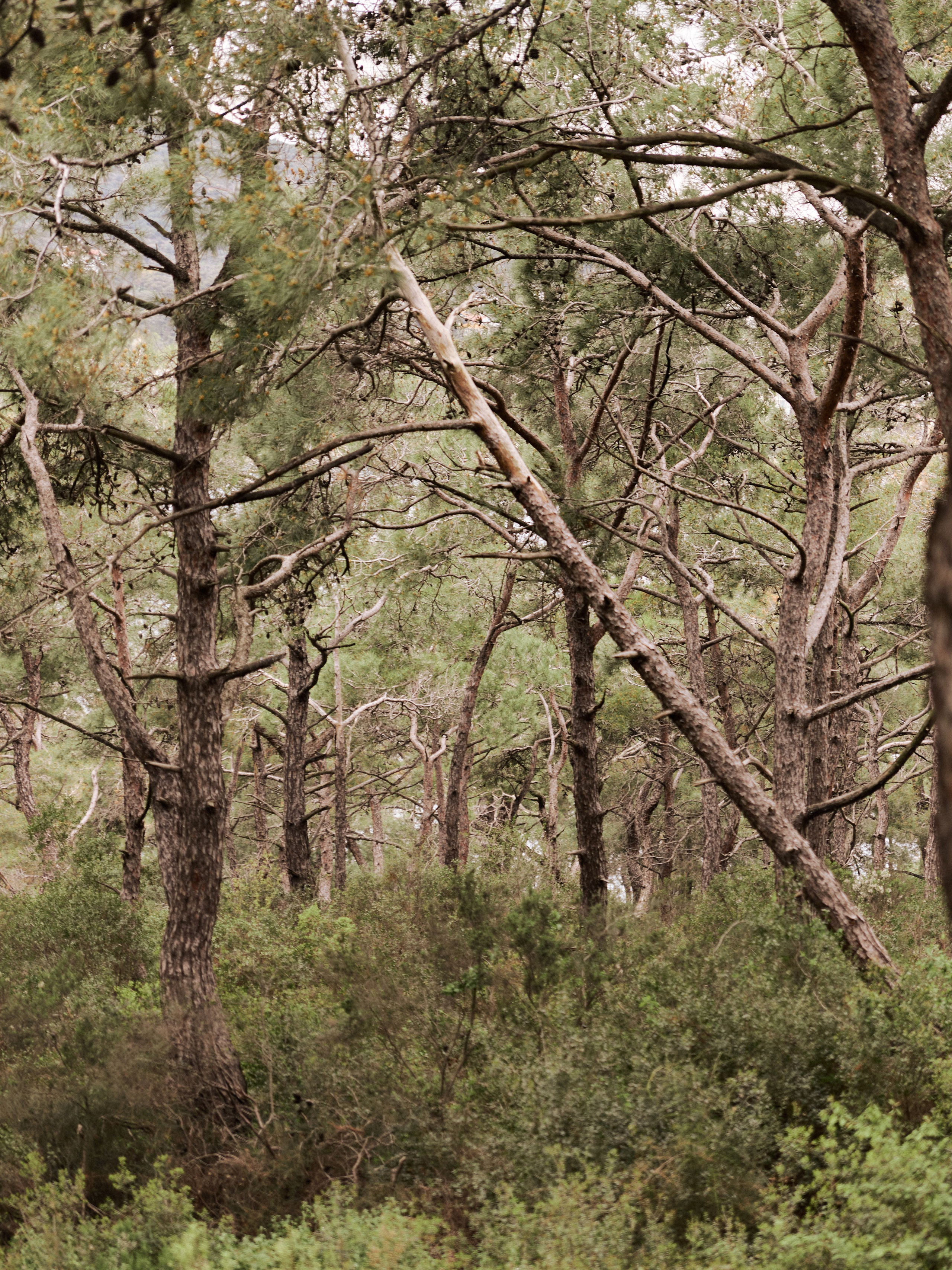 Природа. Jorgis Talè — photographer, kind person, teacher of arts and other mag