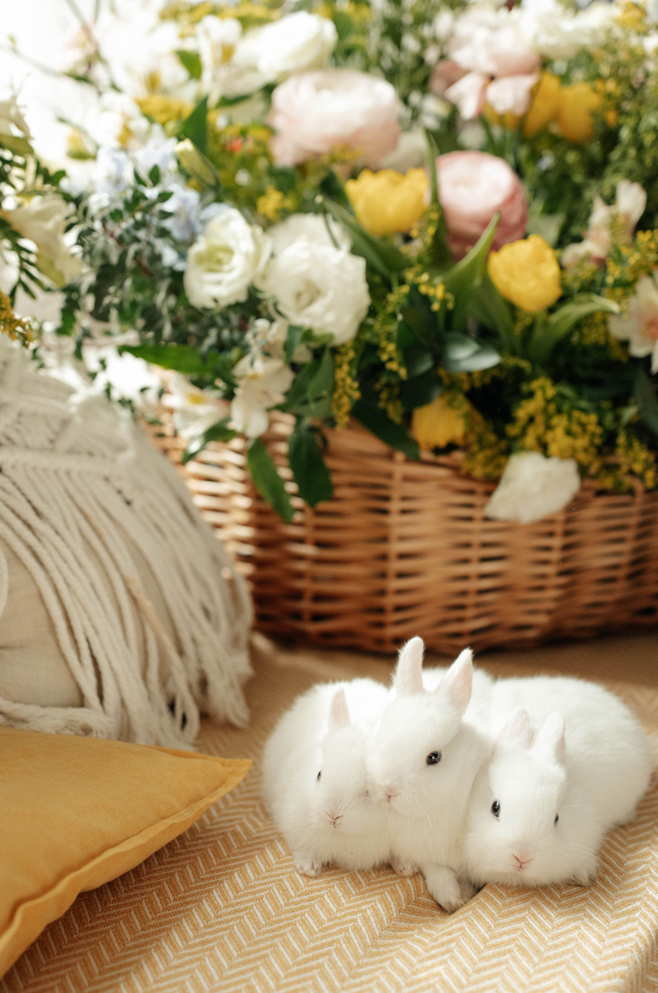 Утята). Свадебный фотограф Москва Александра Аверкова