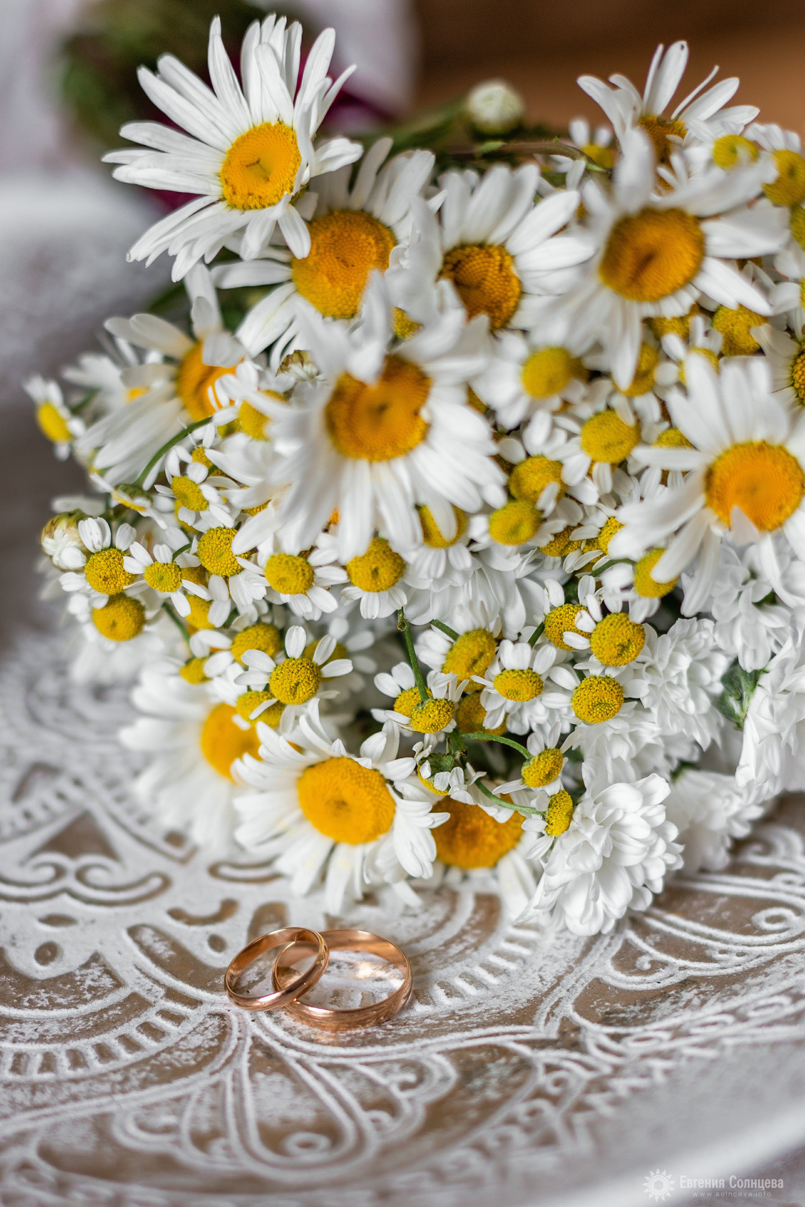 Мария и Даниил. Фотограф в Санкт-Петербурге, — Евгения Солнцева