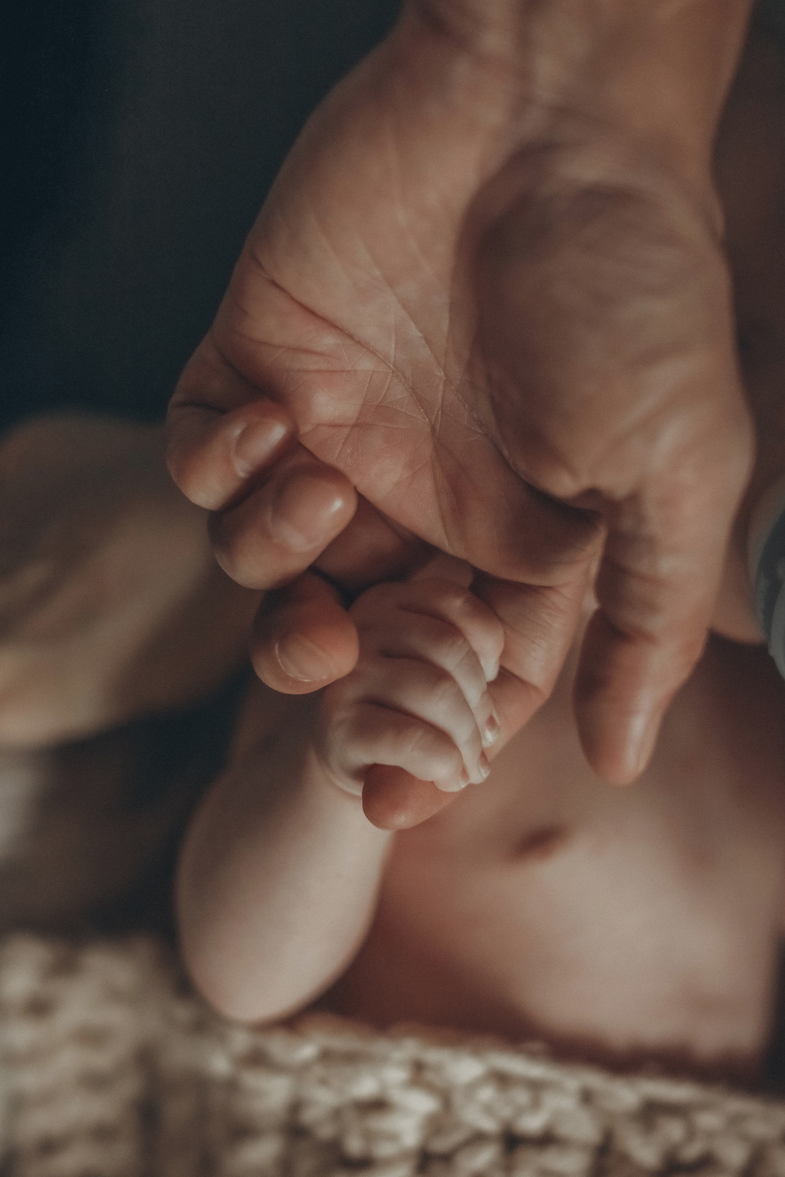 Фотосессии новорожденных в Санкт-Петербурге. Семейный и фотограф новорожденных в Санкт-Петербурге Ольга Руденко