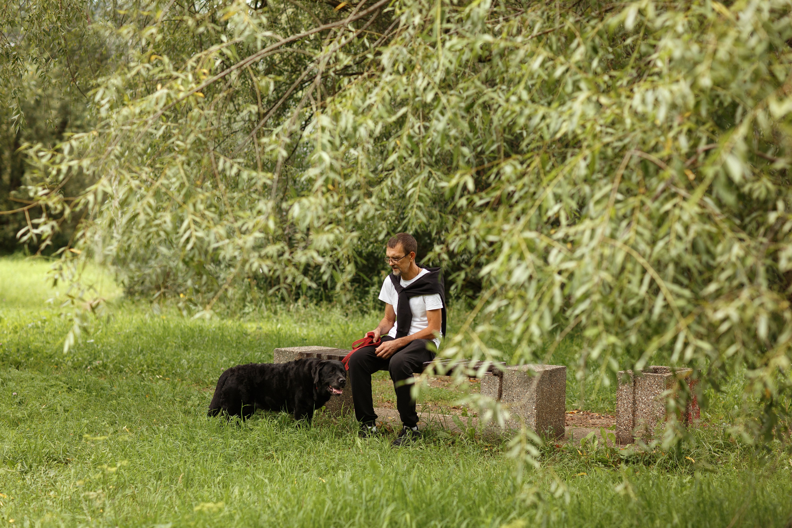 Александр и Мона. Фотограф — Анималист Наталья Тямушева