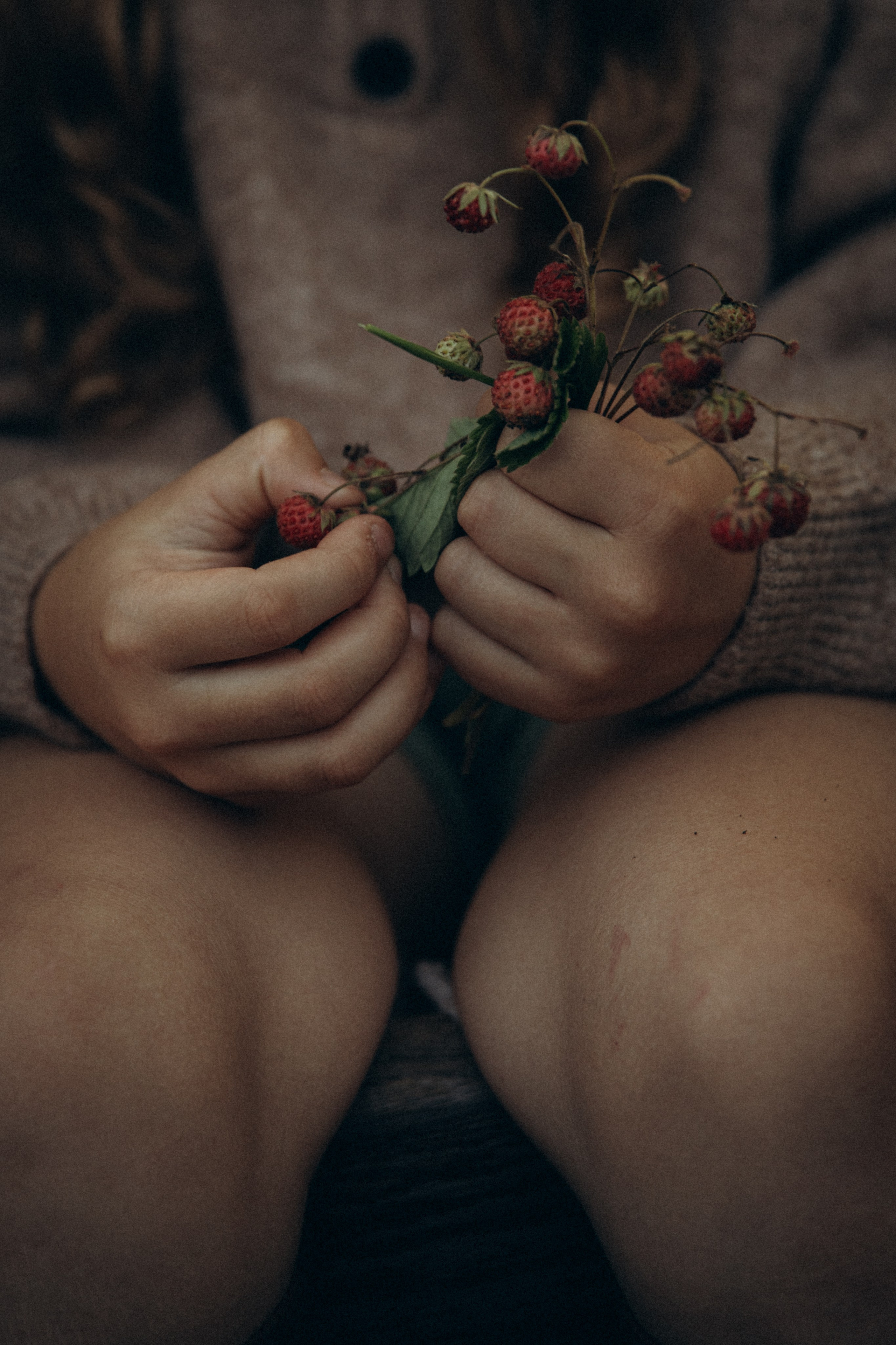 Вечер в саду. Фотограф  Челябинск Варвара Шарапова