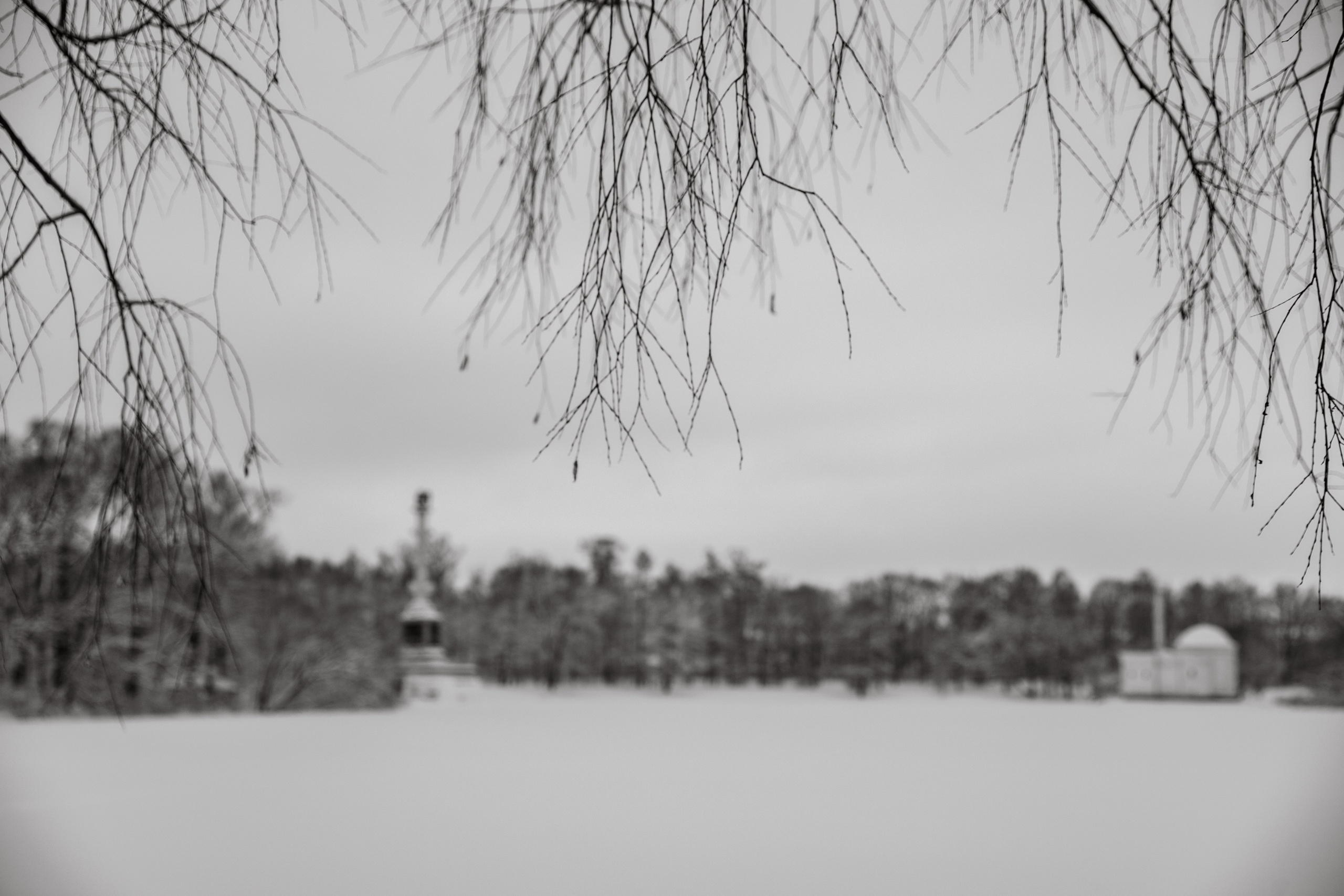 Фото с прогулок и с поездок на Кольский полуостров
