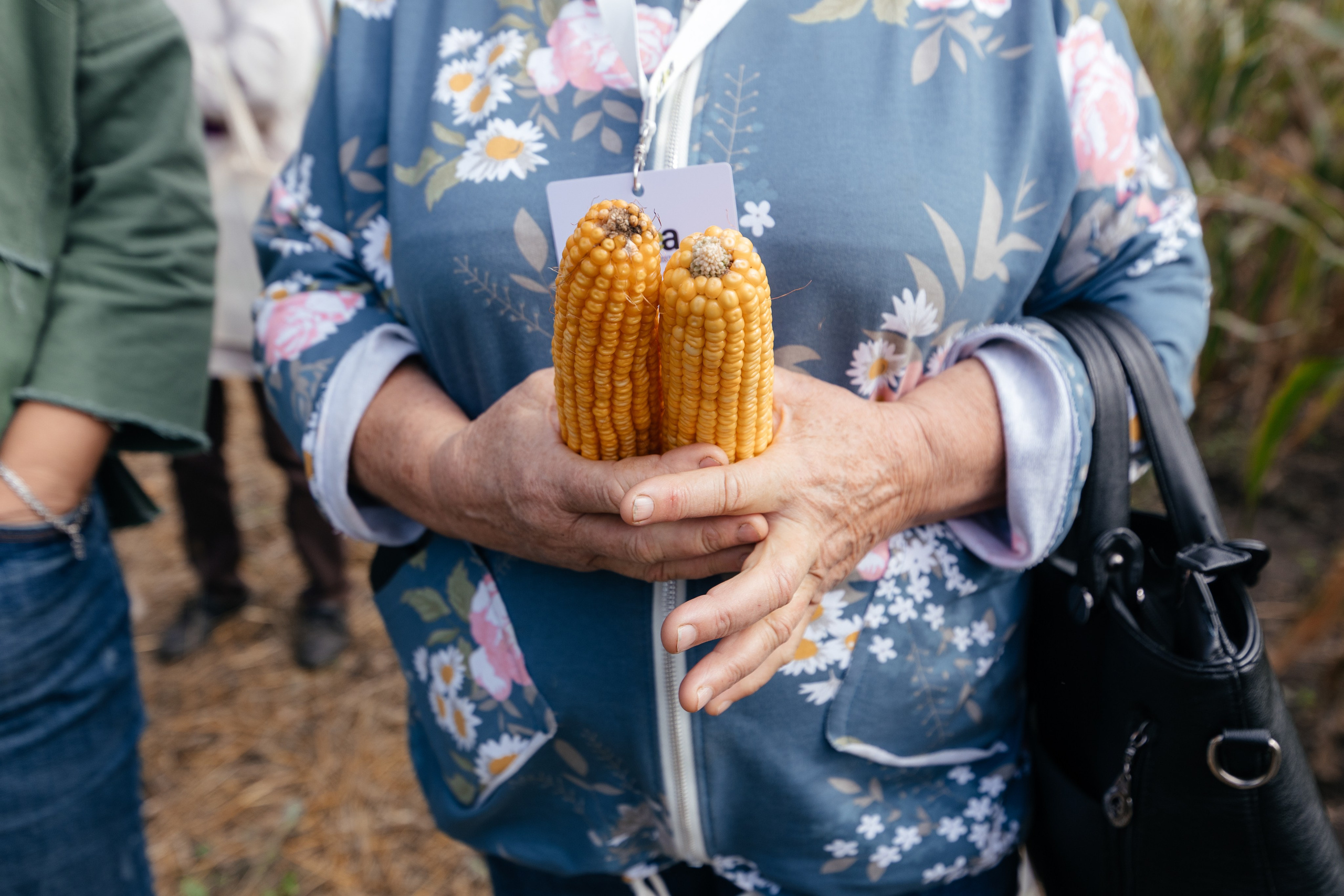 День поля. Фотограф Крохин Олег