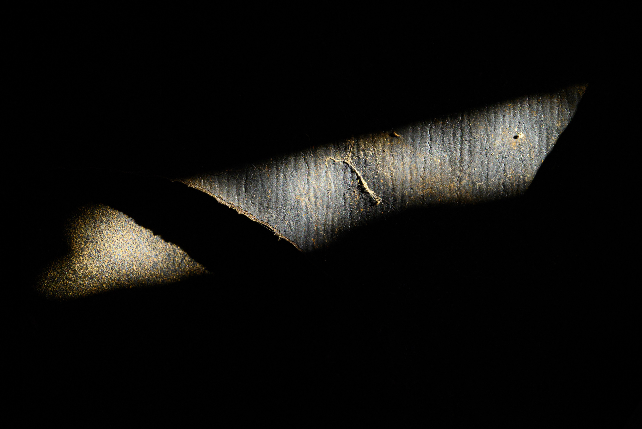 Увидеть свет. Фотограф Антон Денисенко: Портрет, Документалистика, Пейзаж. Москва