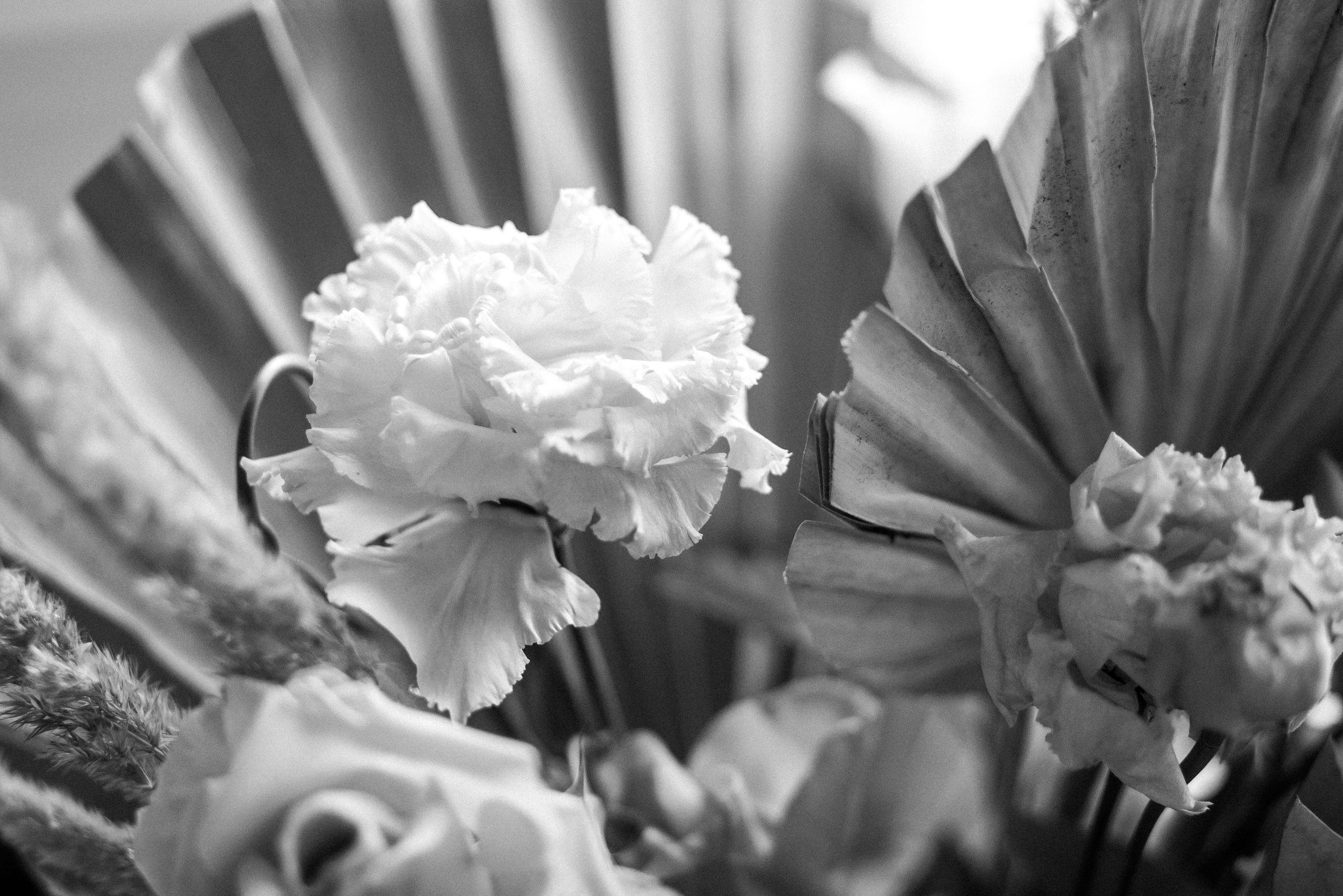 Стильный свадебный фотограф Москва