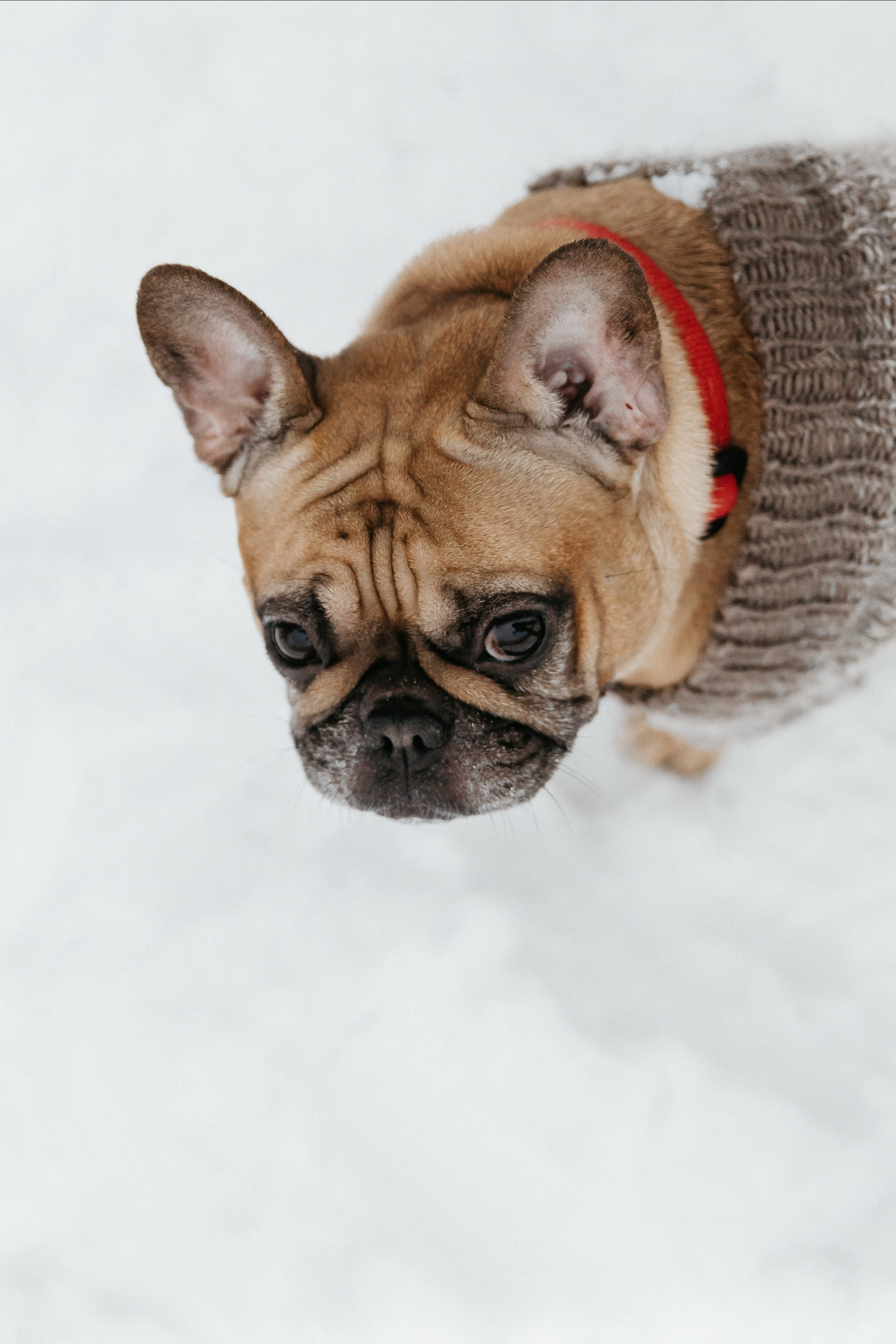 Варя и Влад лавстори. Свадебный и семейный фотограф в Москве Холда Тати