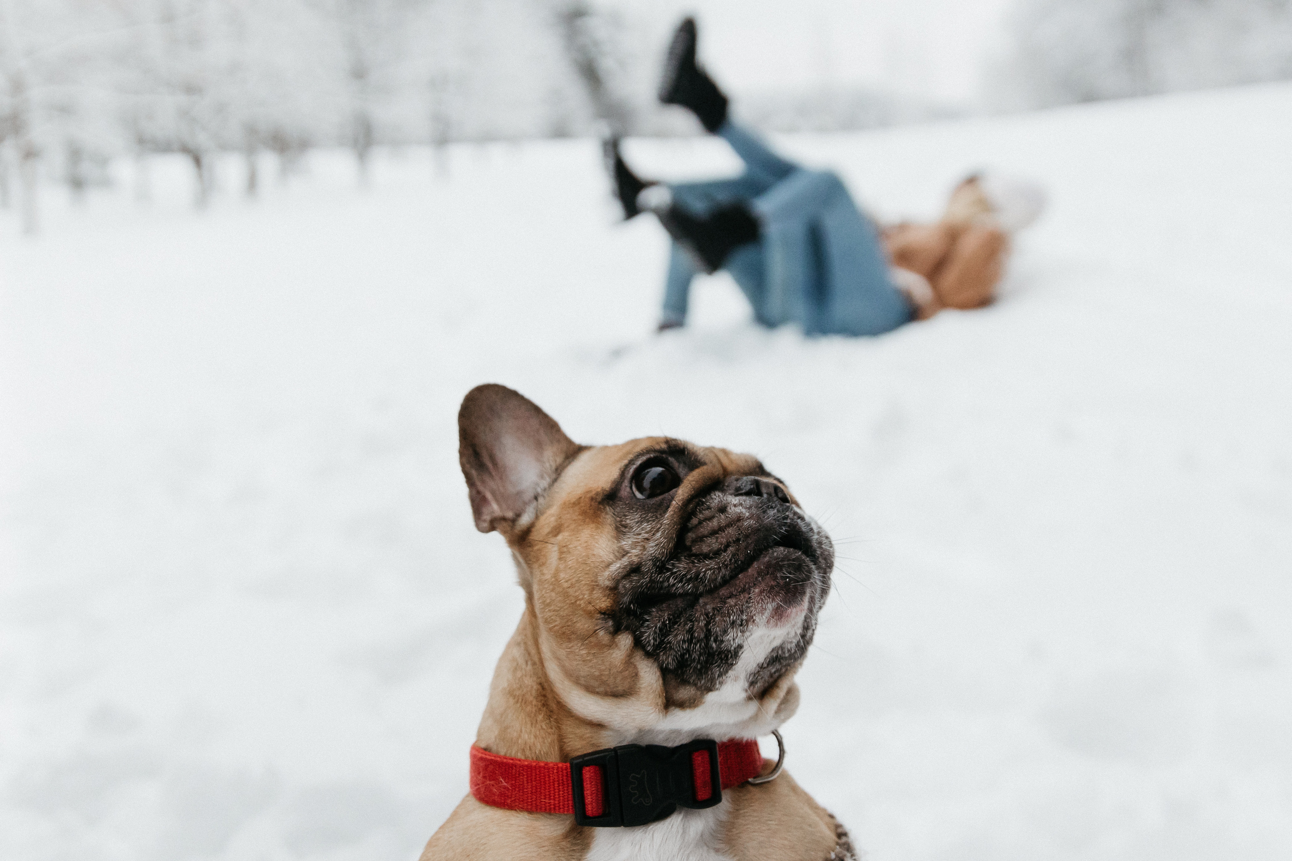 Варя и Влад лавстори. Свадебный и семейный фотограф в Москве Холда Тати