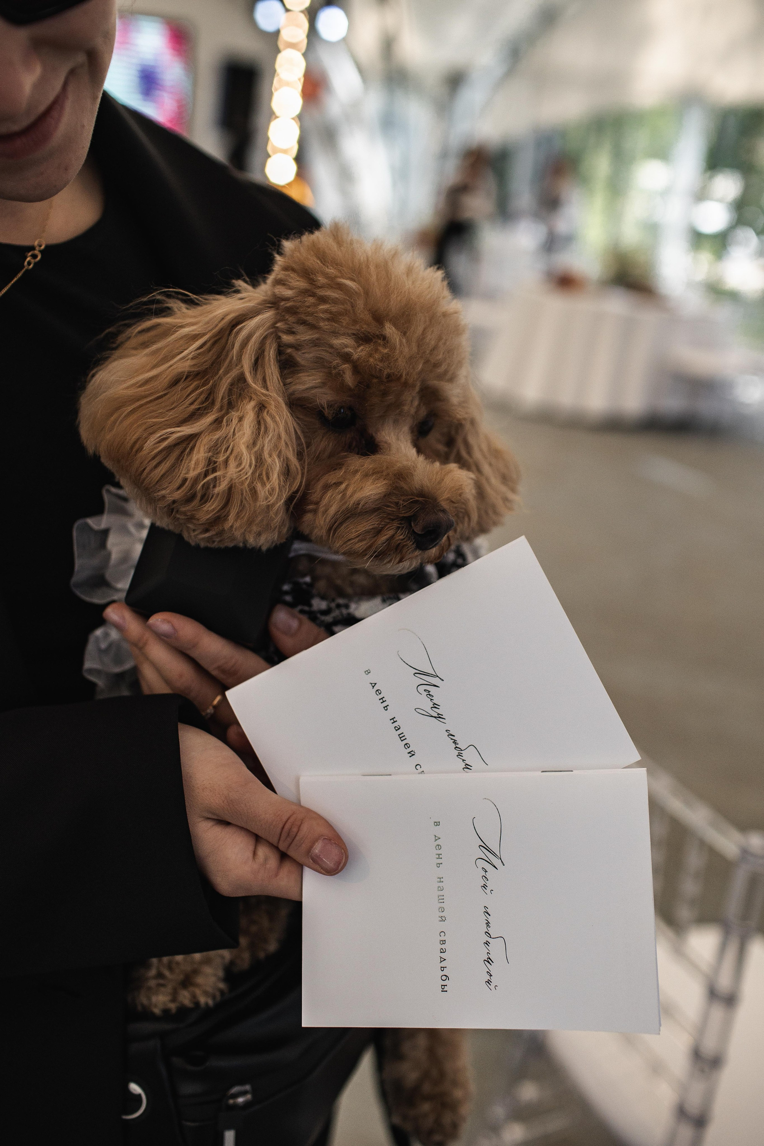 K & О. Свадебный фотограф Юлия Шторм