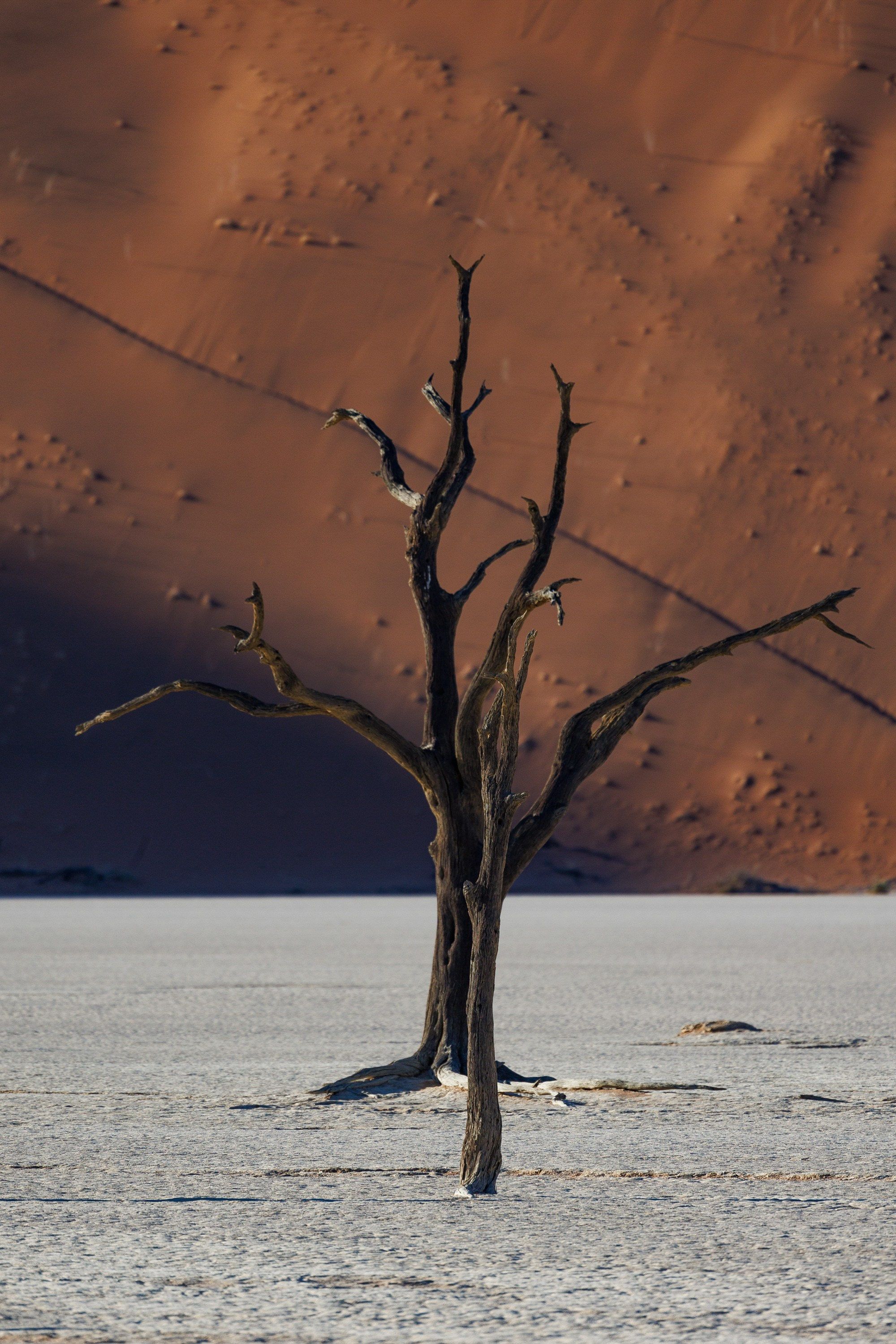 НАМИБИЯ. Роадтрип