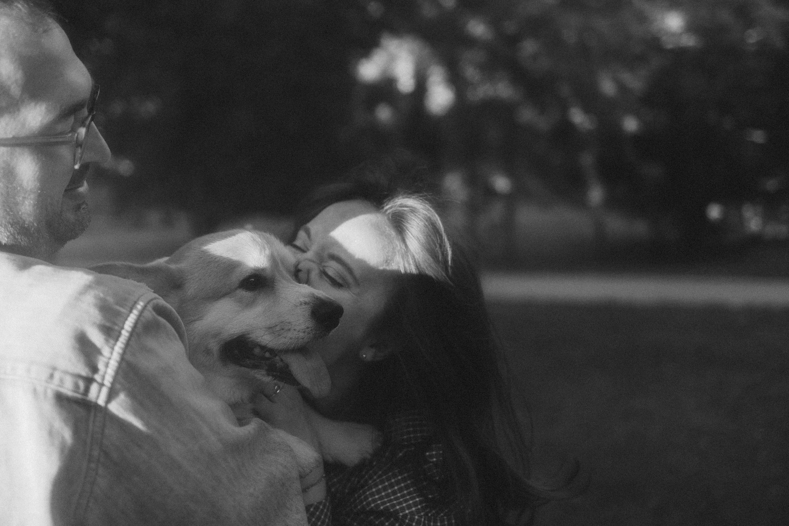 Момо, Люда и Эд. Фотограф анималист Анастасия Пикей