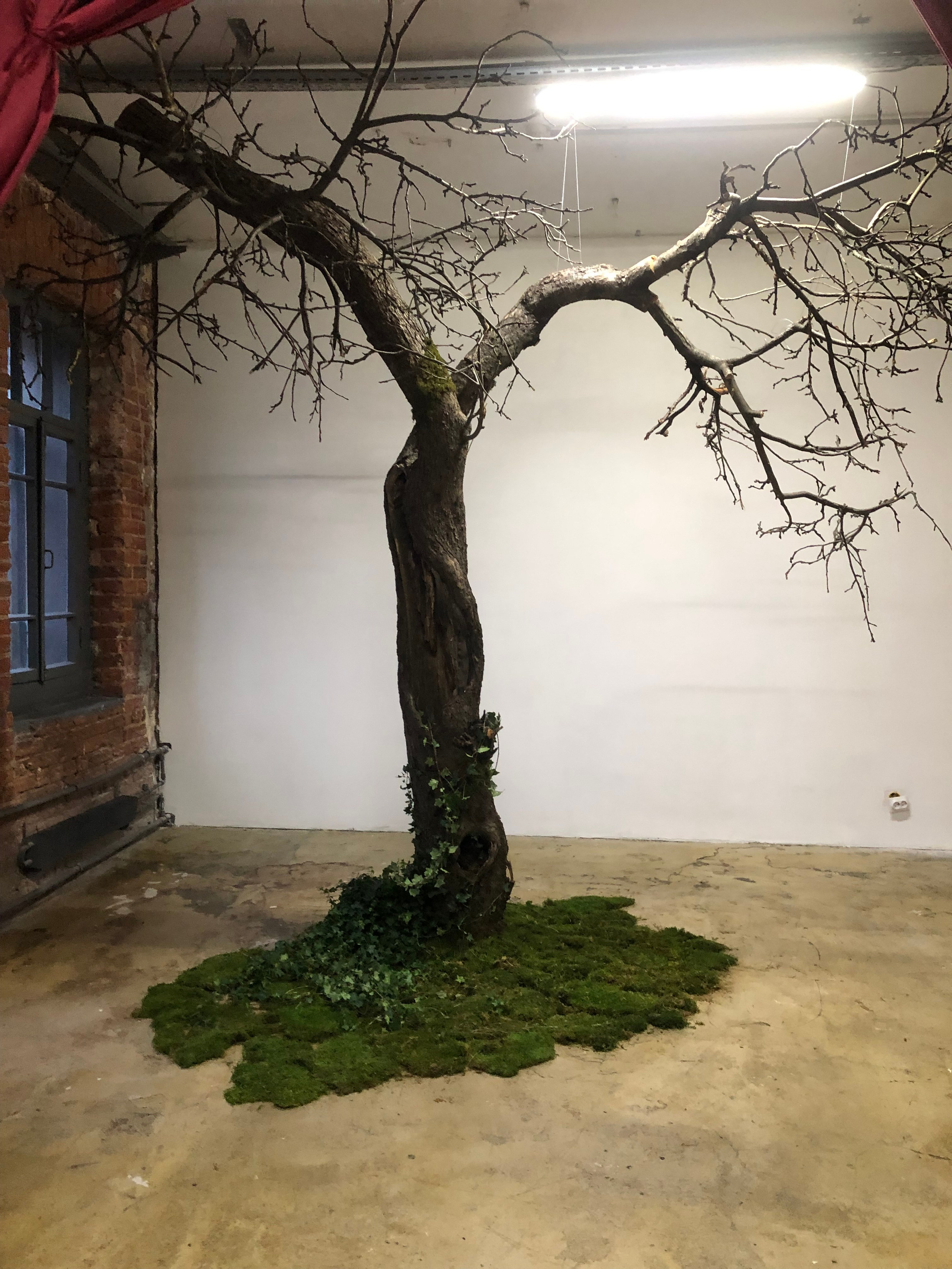 Фотостудия МОХ Зал Сказки. Фотограф Настя Лев