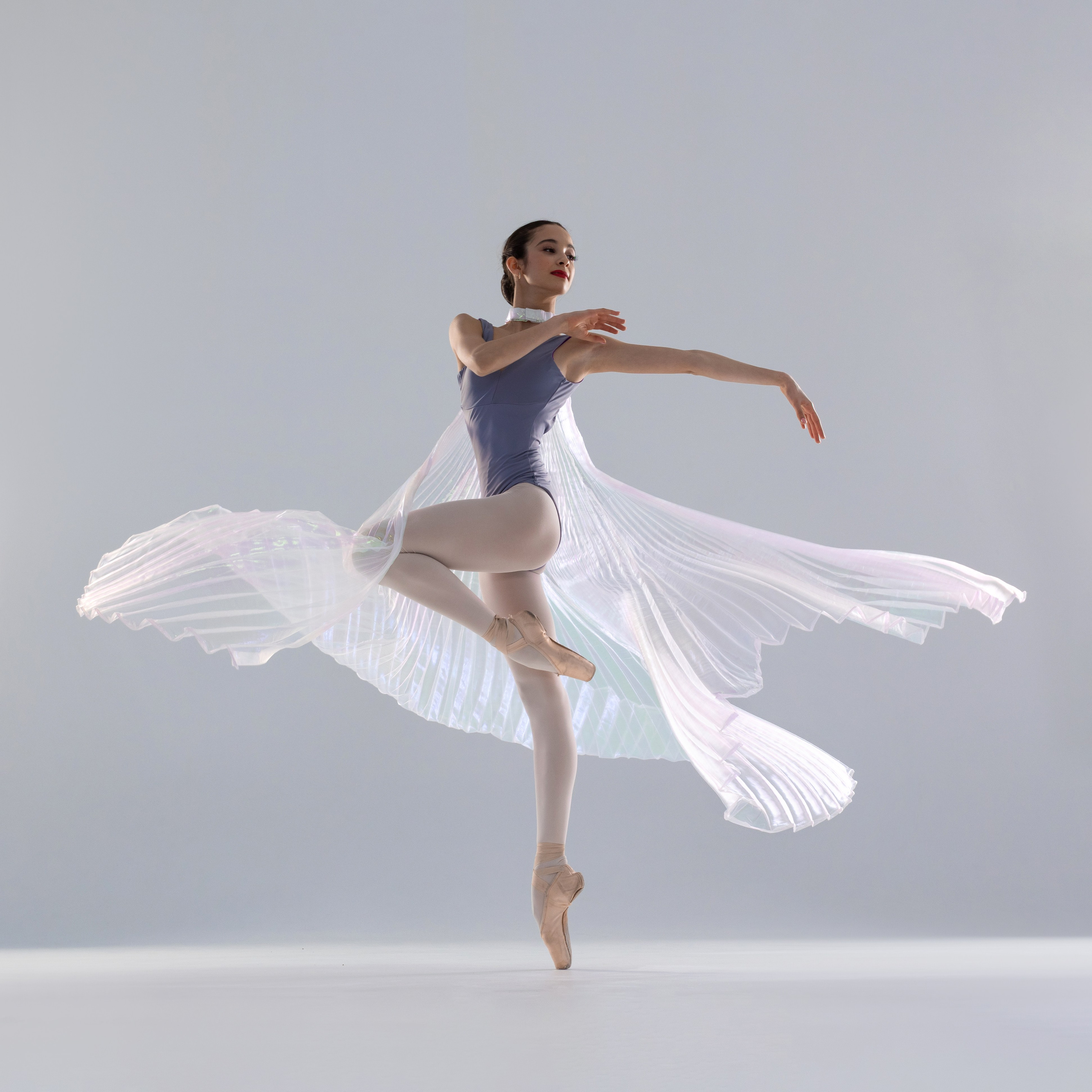 Крылья перламутровые напрокат бесплатно. Балетный фотограф Алина Ханько — Душа Балета