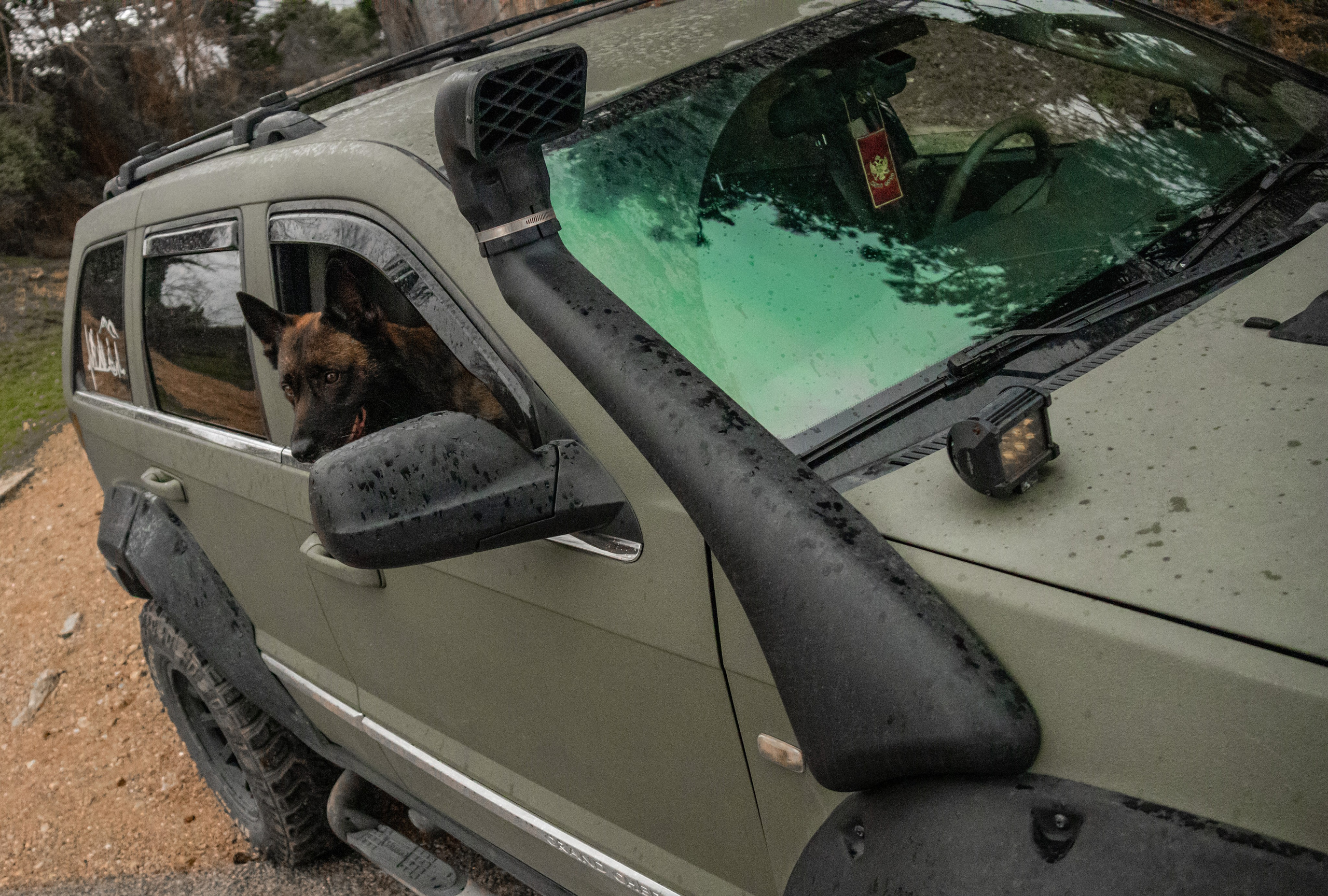 Photoshoot with a dog in Montenegro. Portrait photographer in Tivat Montenegro Katerina Kirsanova