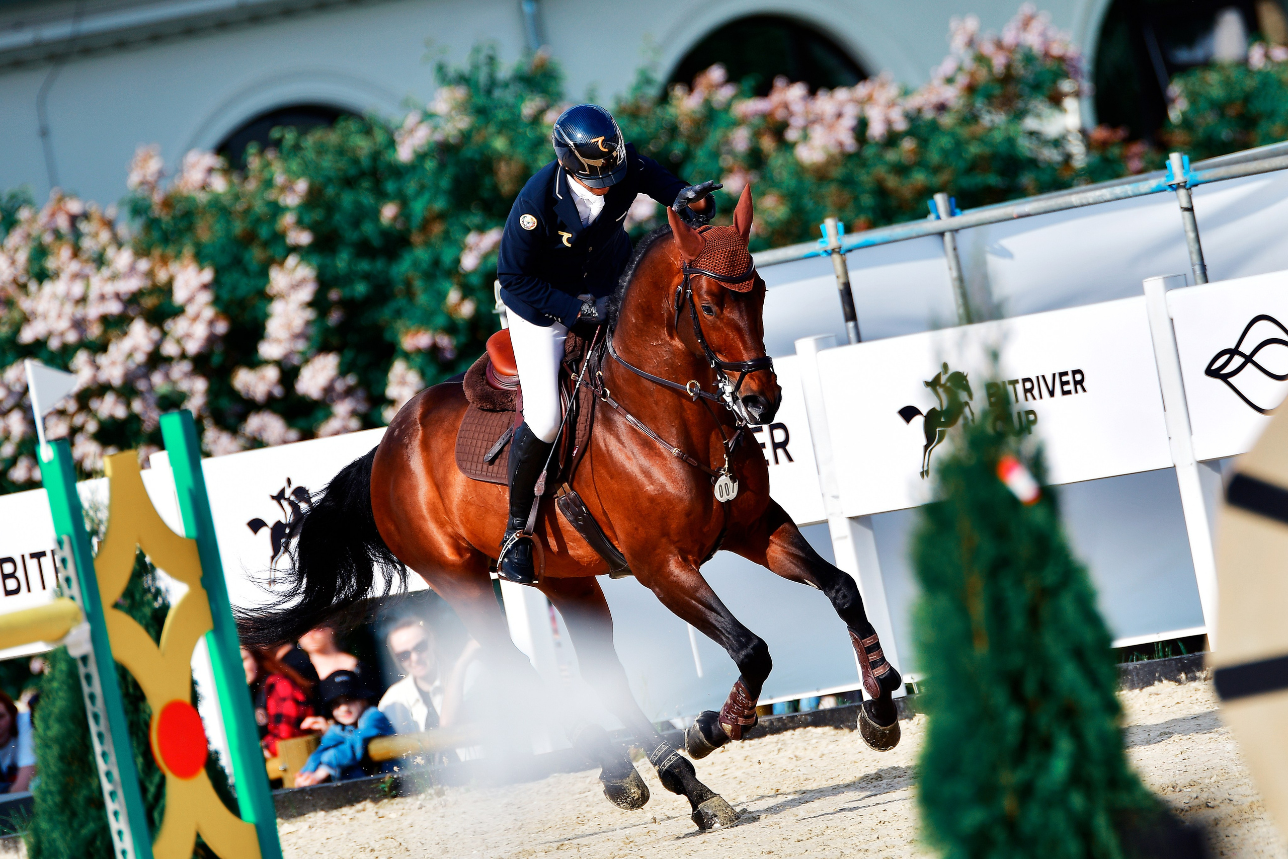 Репортаж Bitriver. Конный фотограф Alesya Safe