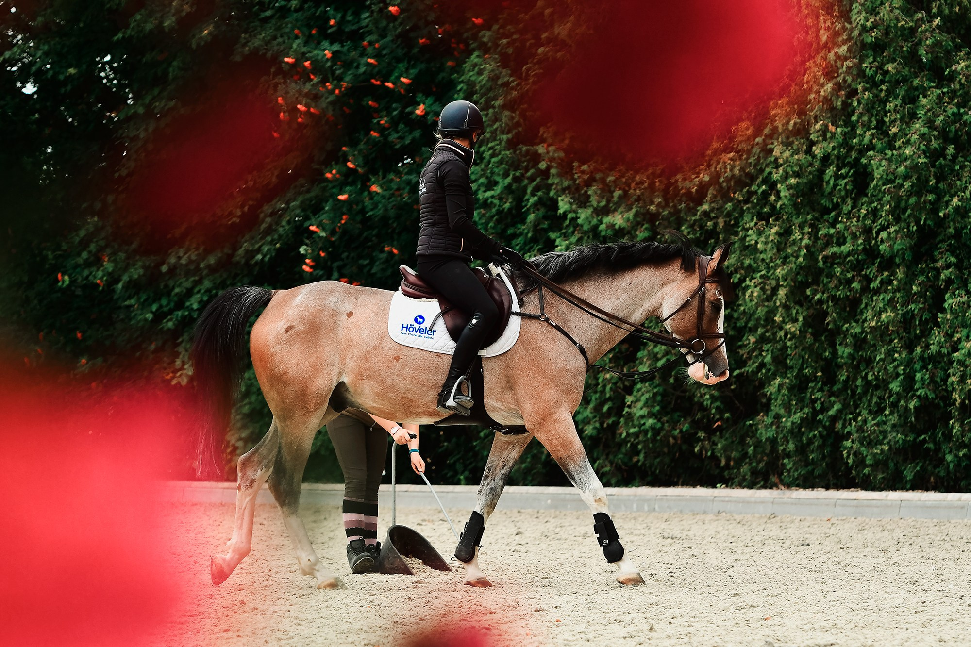 ЕС. Конный фотограф Alesya Safe