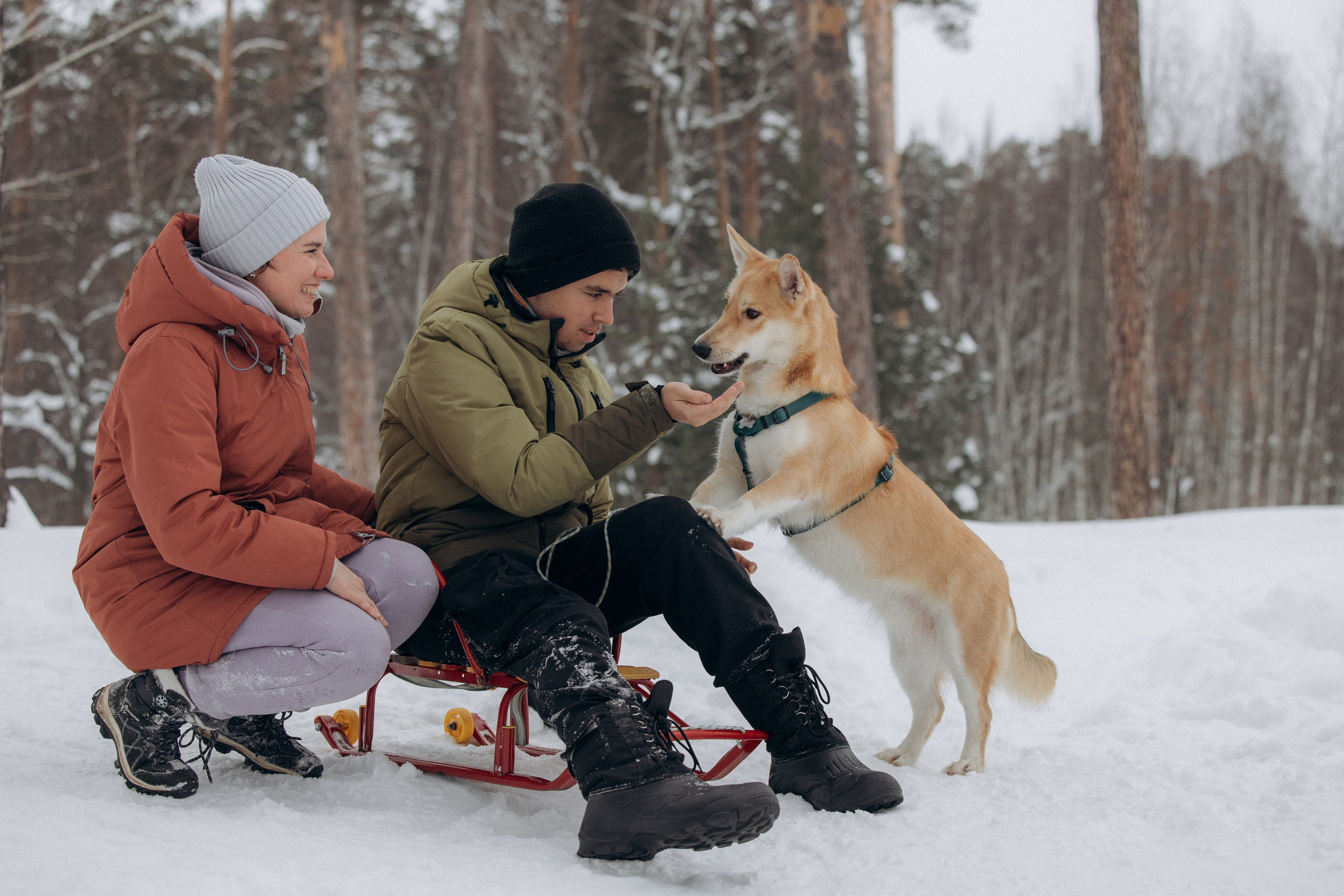 Прогулка на озере зимой. Фотограф анималист в Казани Алина Сулейманова. Фотограф животных