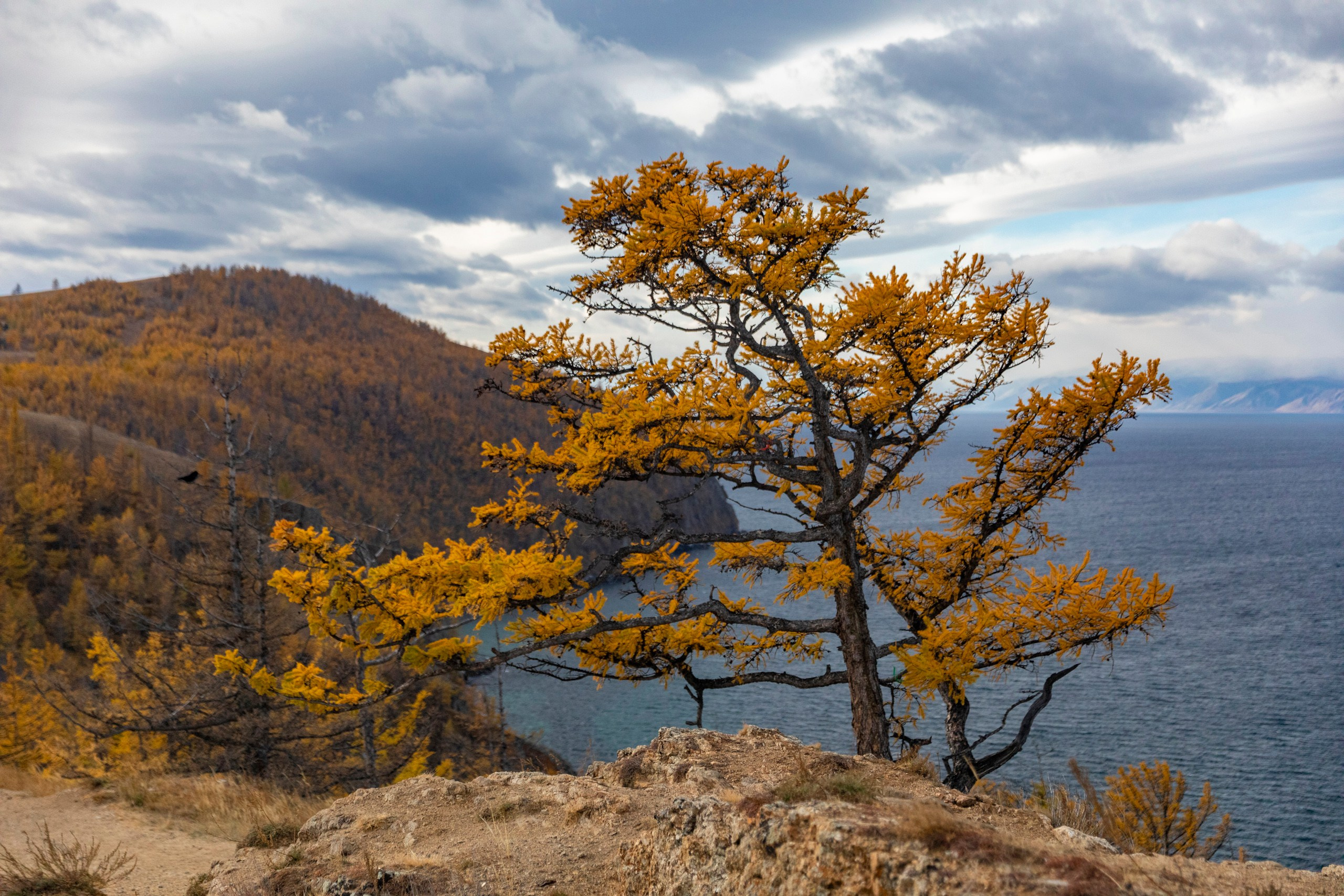 Ольхон в октябре. Марина Захарова — Фотограф. Москва / Marina Zakharova — Photographer