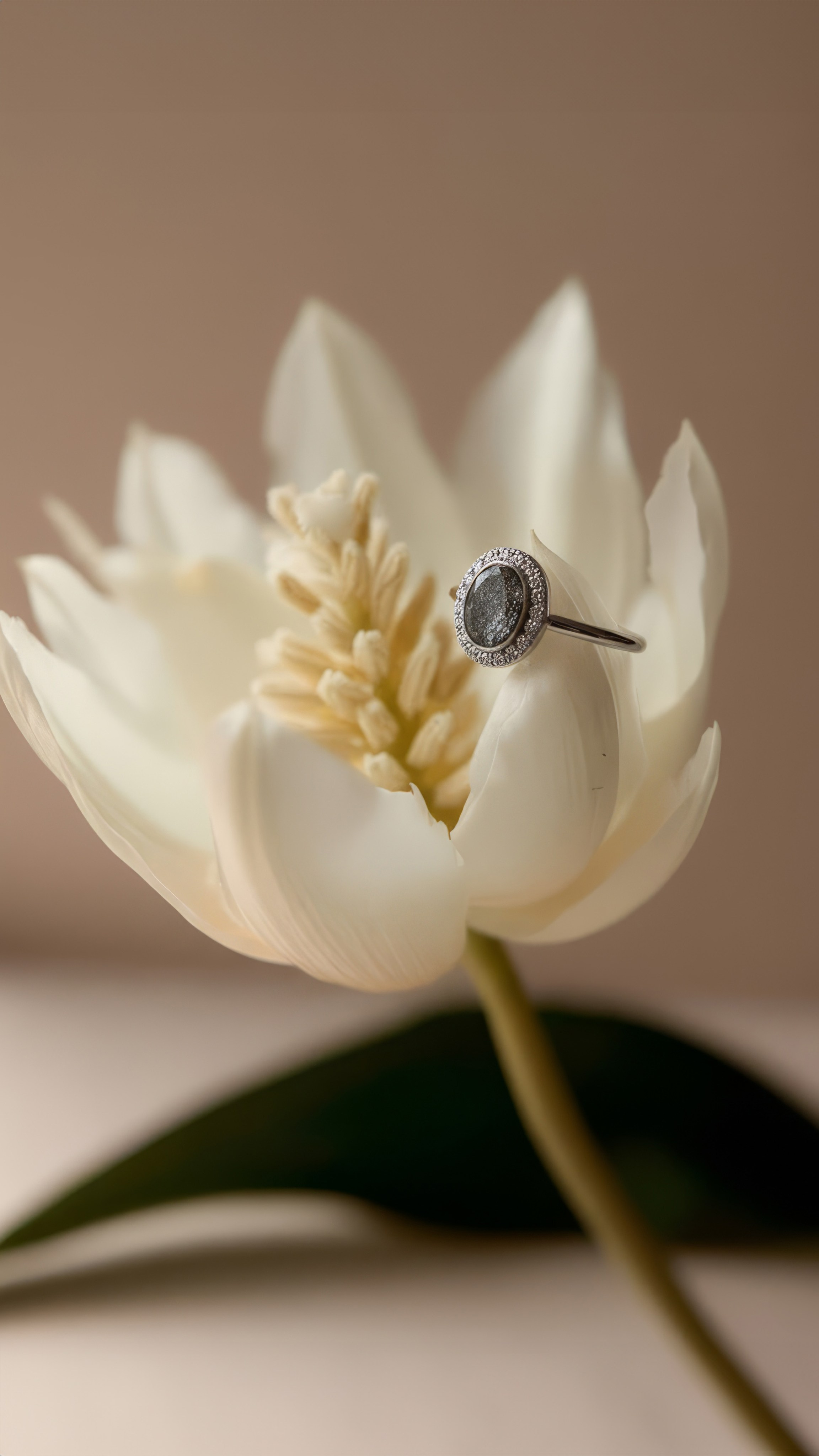 Украшения. Регина Зебра — предметный фотограф Москва Подольск | Съёмка для маркетплейсов и соцсетей