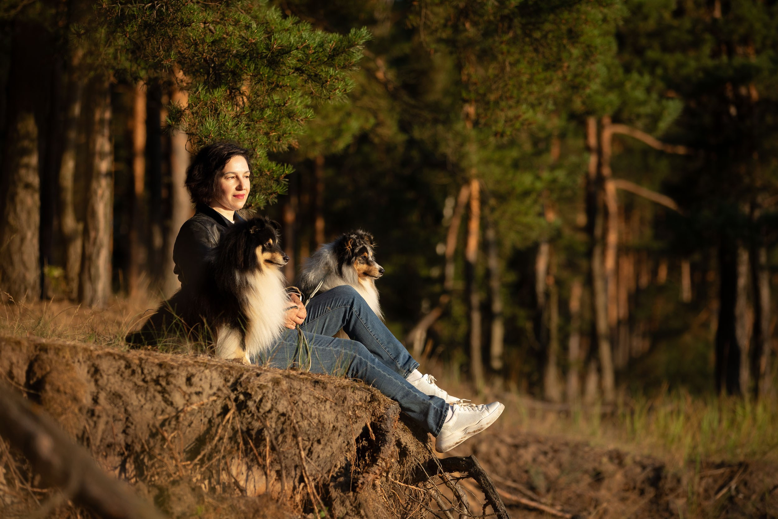 Съемка с шелти на рассвете на песчаном карьере. Фотограф-анималист в Москве и Московской области Татьяна Фролова