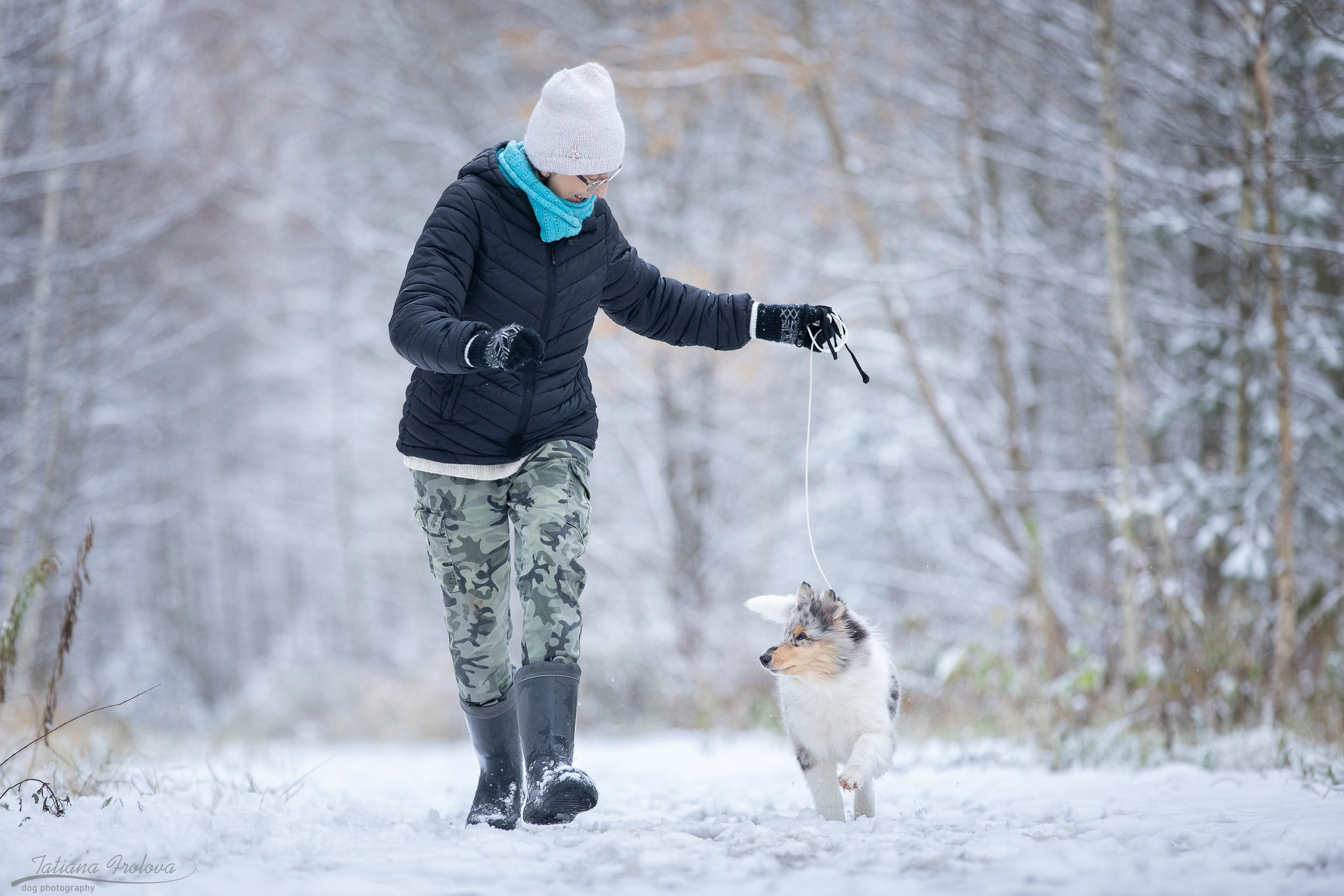 Фотосъёмка щенка колли в Пушкинском районе зимой. Фотограф-анималист в Москве и Московской области Татьяна Фролова