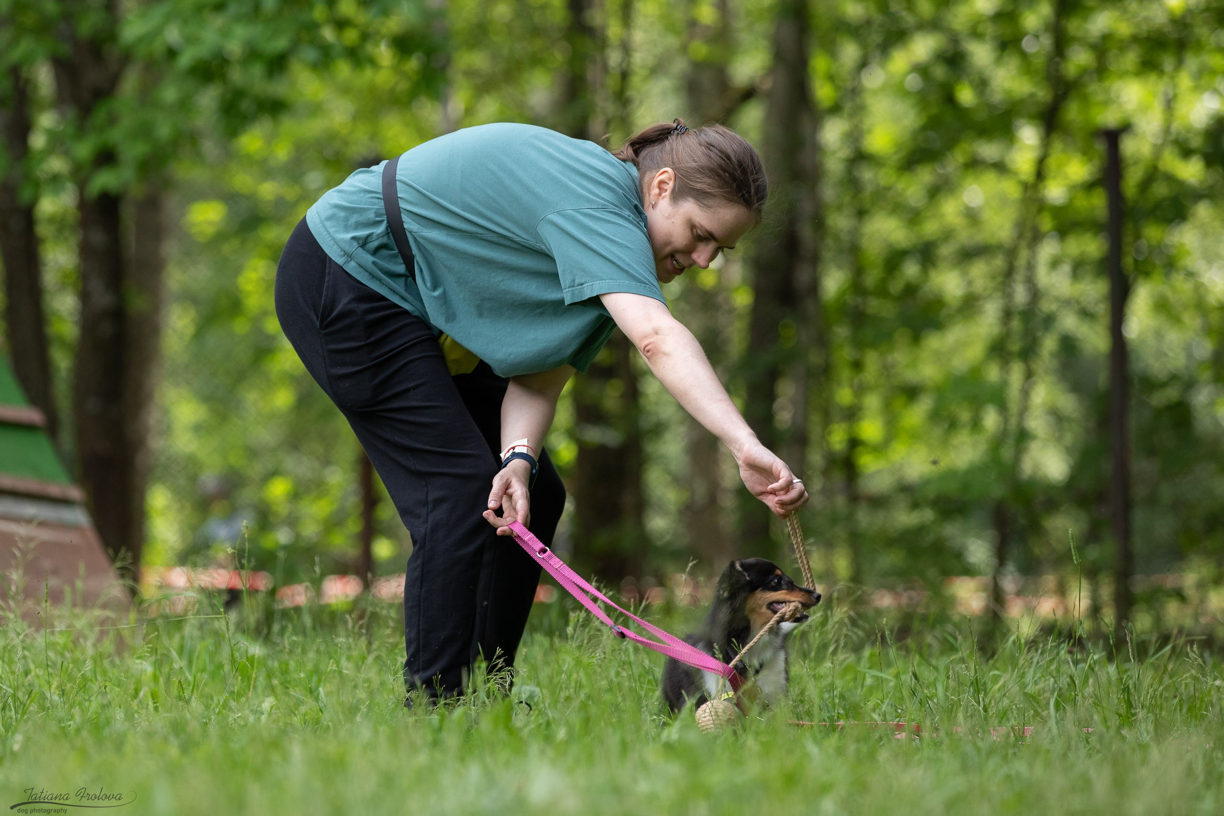 Репортаж с выводки молодняка колли/шелти в Ясенево. Фотограф-анималист в Москве и Московской области Татьяна Фролова