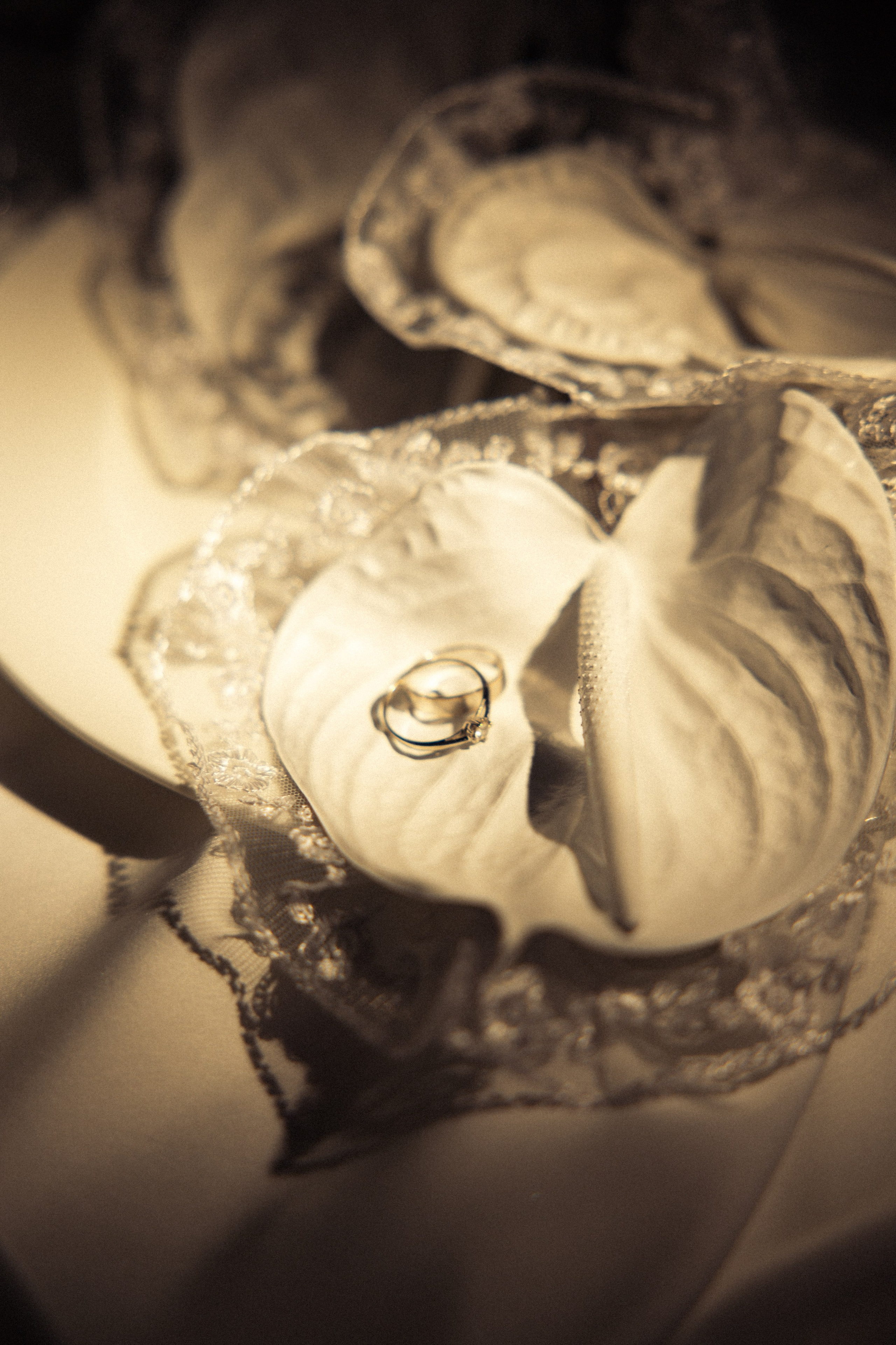 Вероника & Максим. Phdkvmr.ru