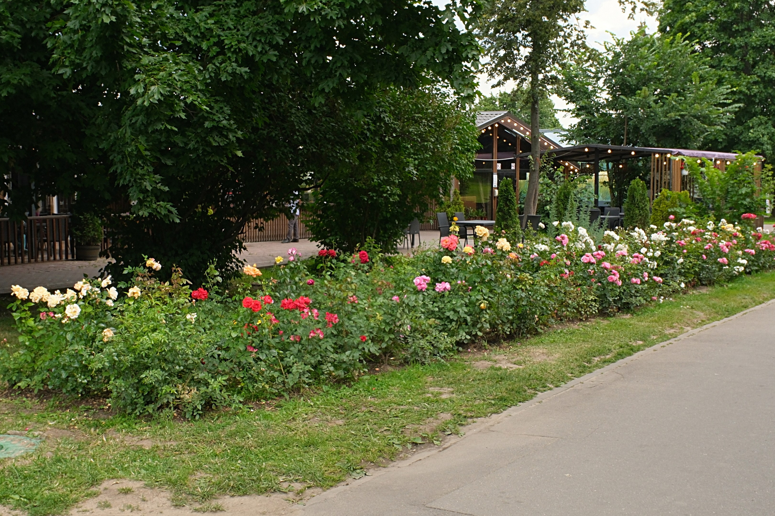 В Коломенском 07.07.2025. Улица, люди, жизнь…