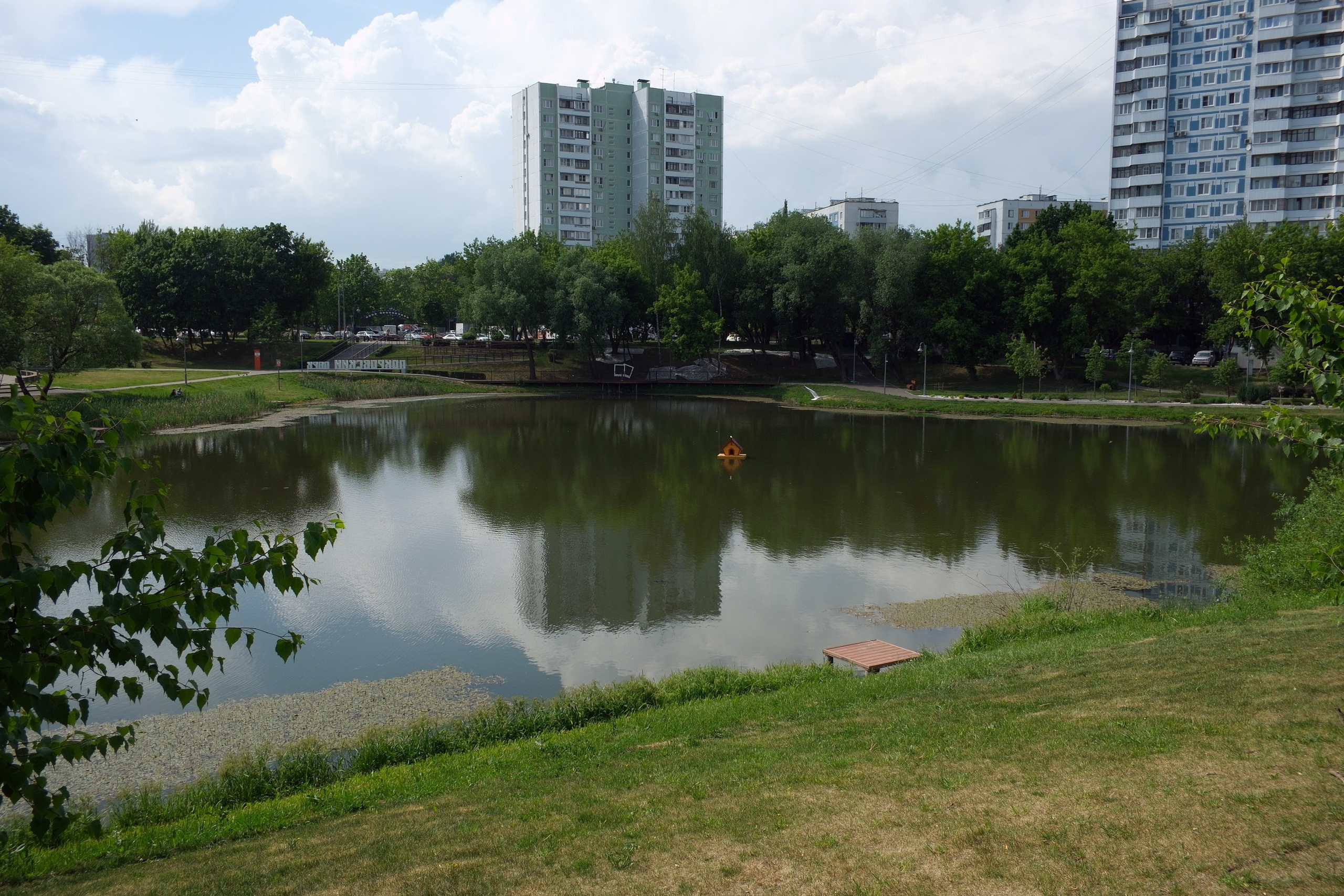 31.05.2025. Покровский парк. Активное долголетие. Улица, люди, жизнь…