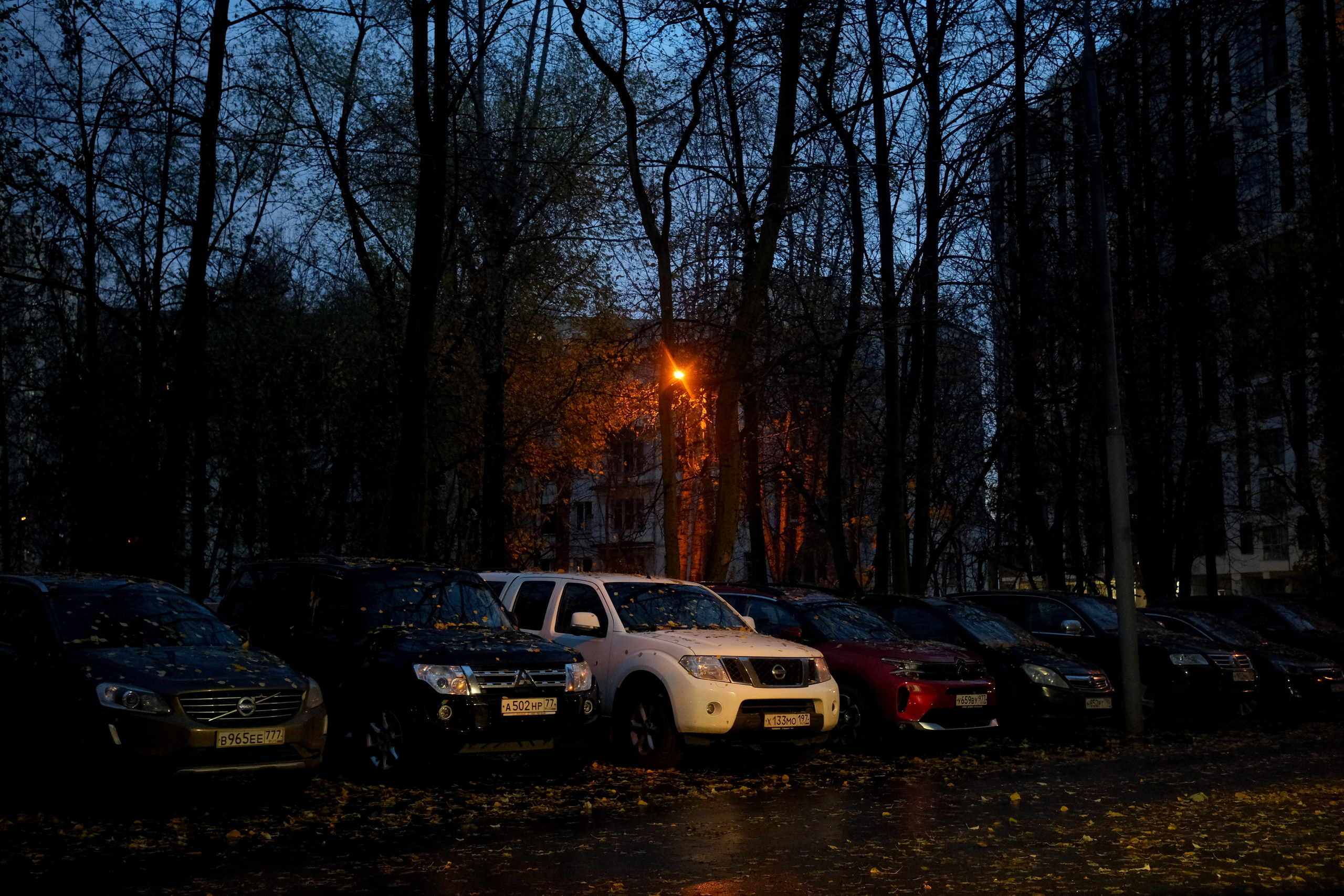 Улица, люди, жизнь…