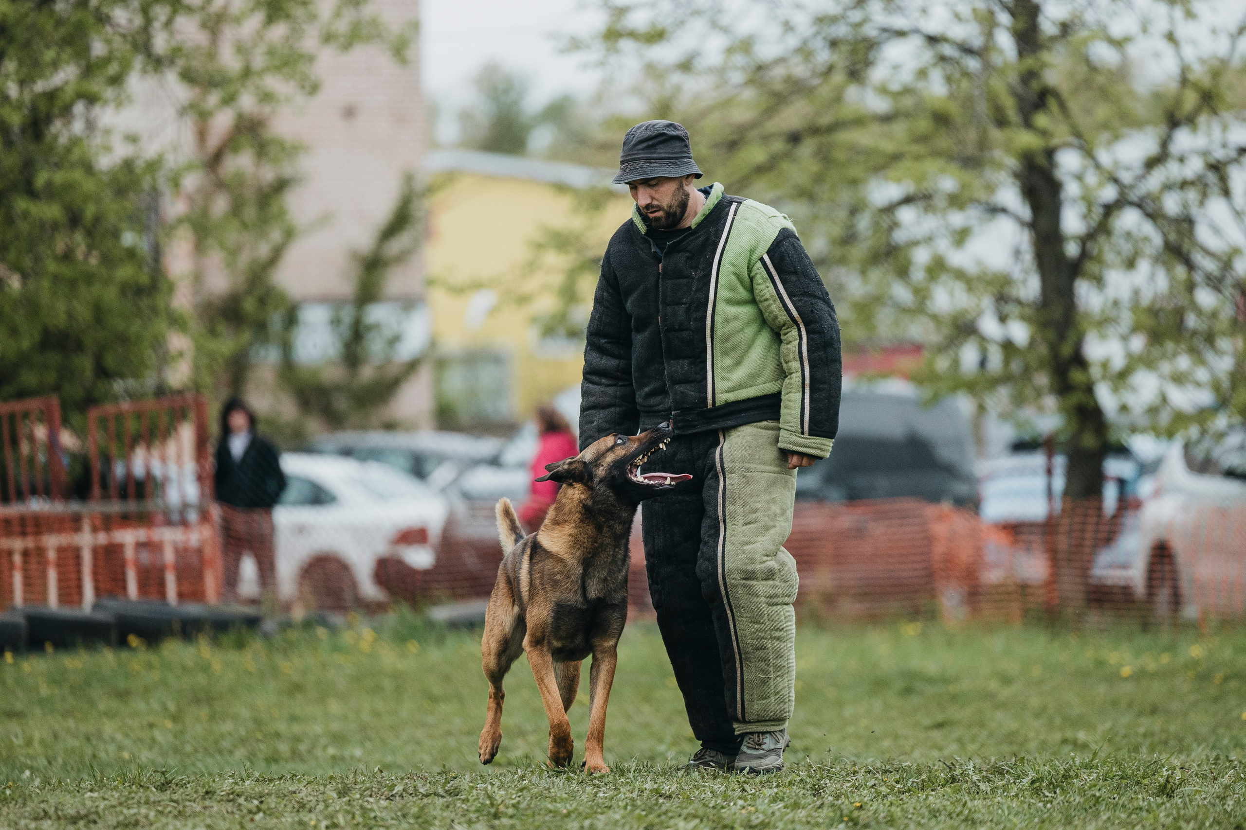 26.05.25 г. Пушкин квалификационные соревнования. Фотограф-анималист Анна Маринич