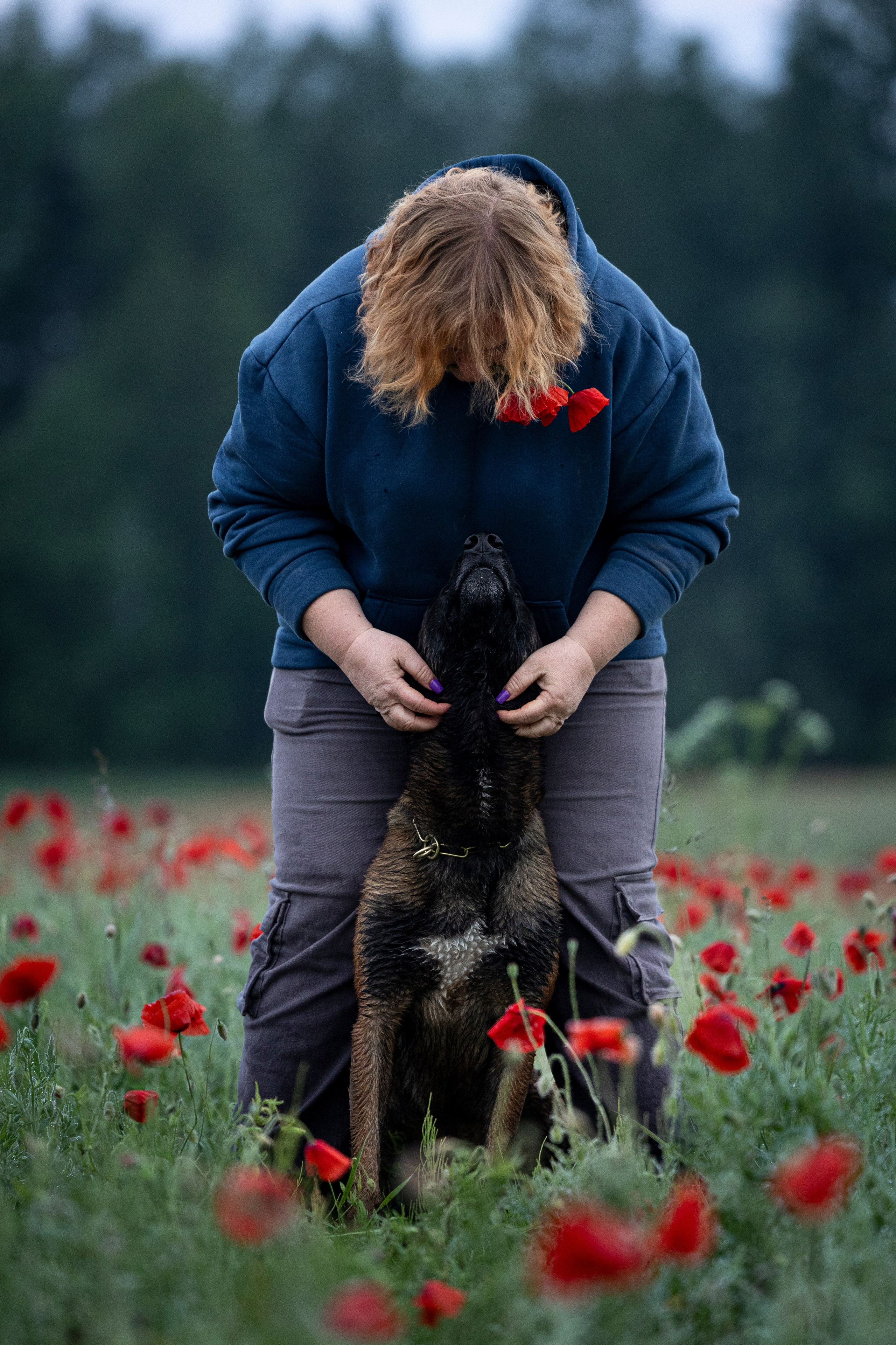 Маковое поле. Фотограф-анималист Анна Маринич