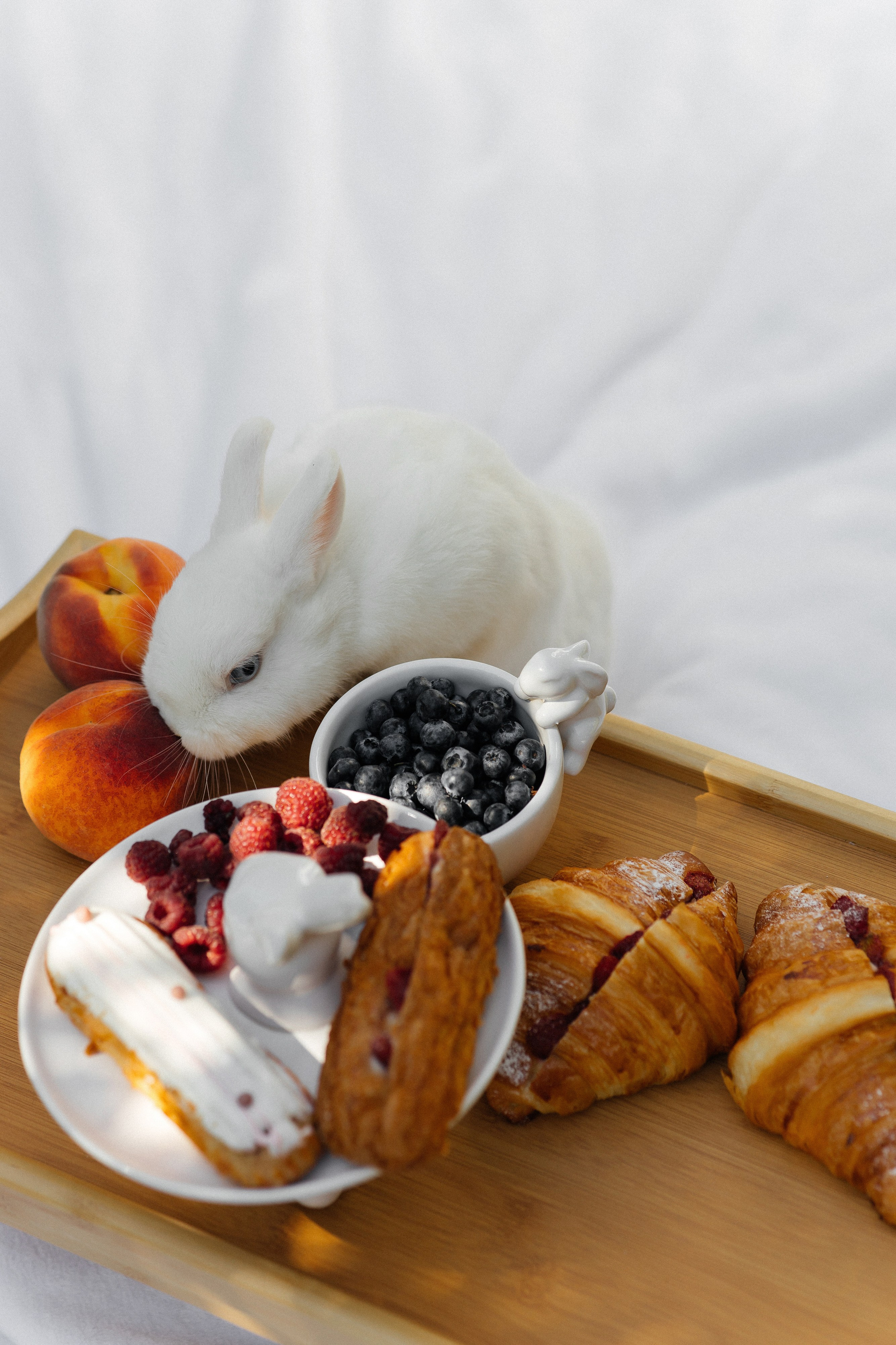 Alexander & Yana. Свадебный организатор в Ростове-на-Дону Яснов Роман