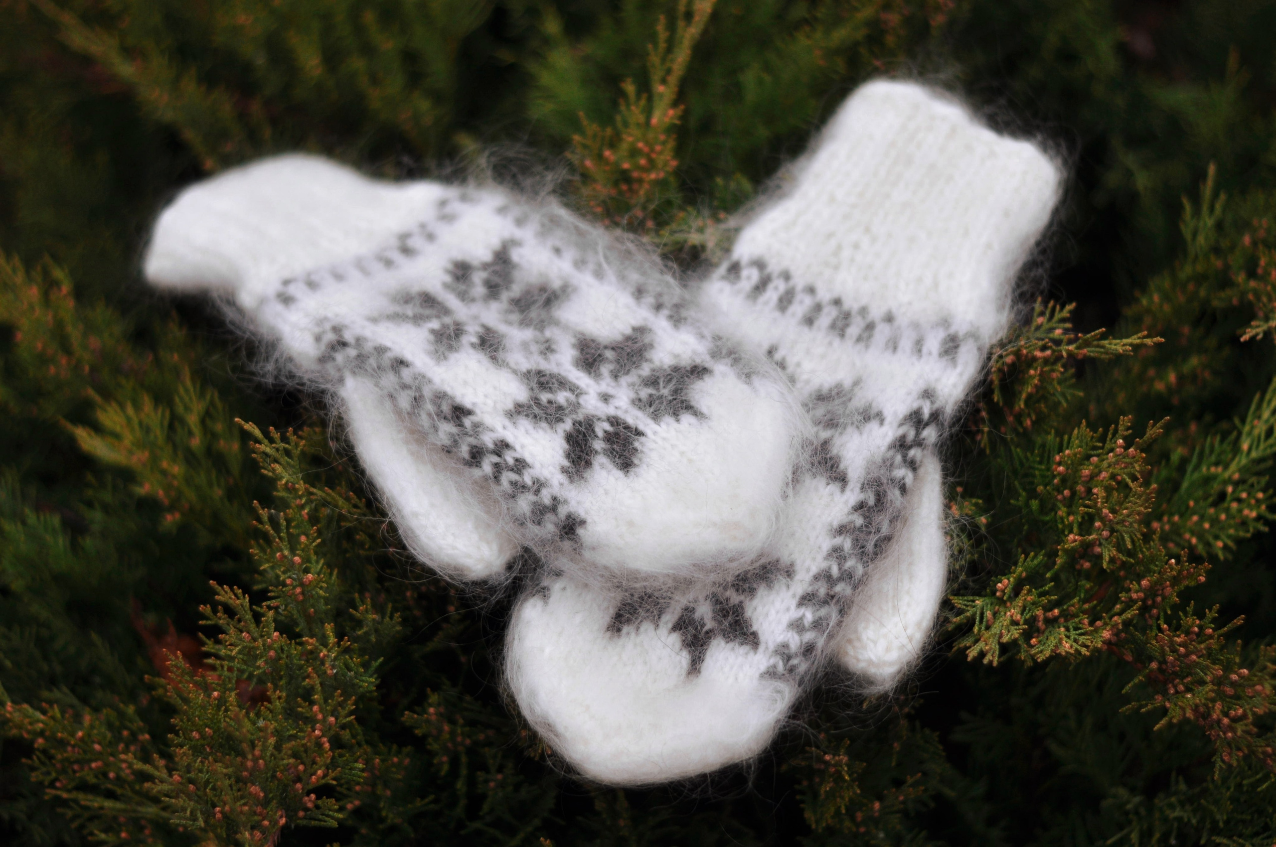 Предметная. Фотограф в Урюпинске