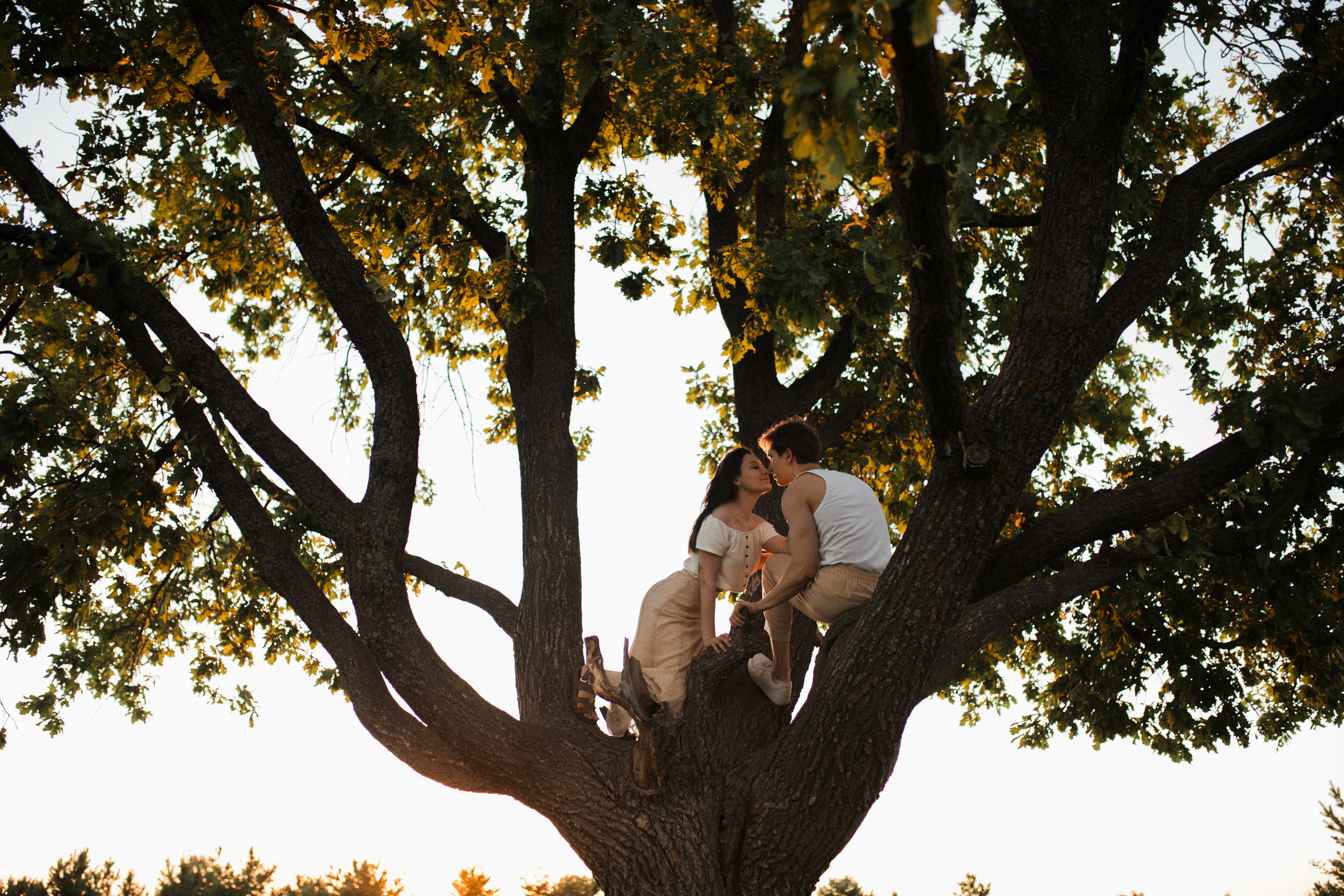 Поле клевера. Фотограф Диана Хасанова, г. Казань