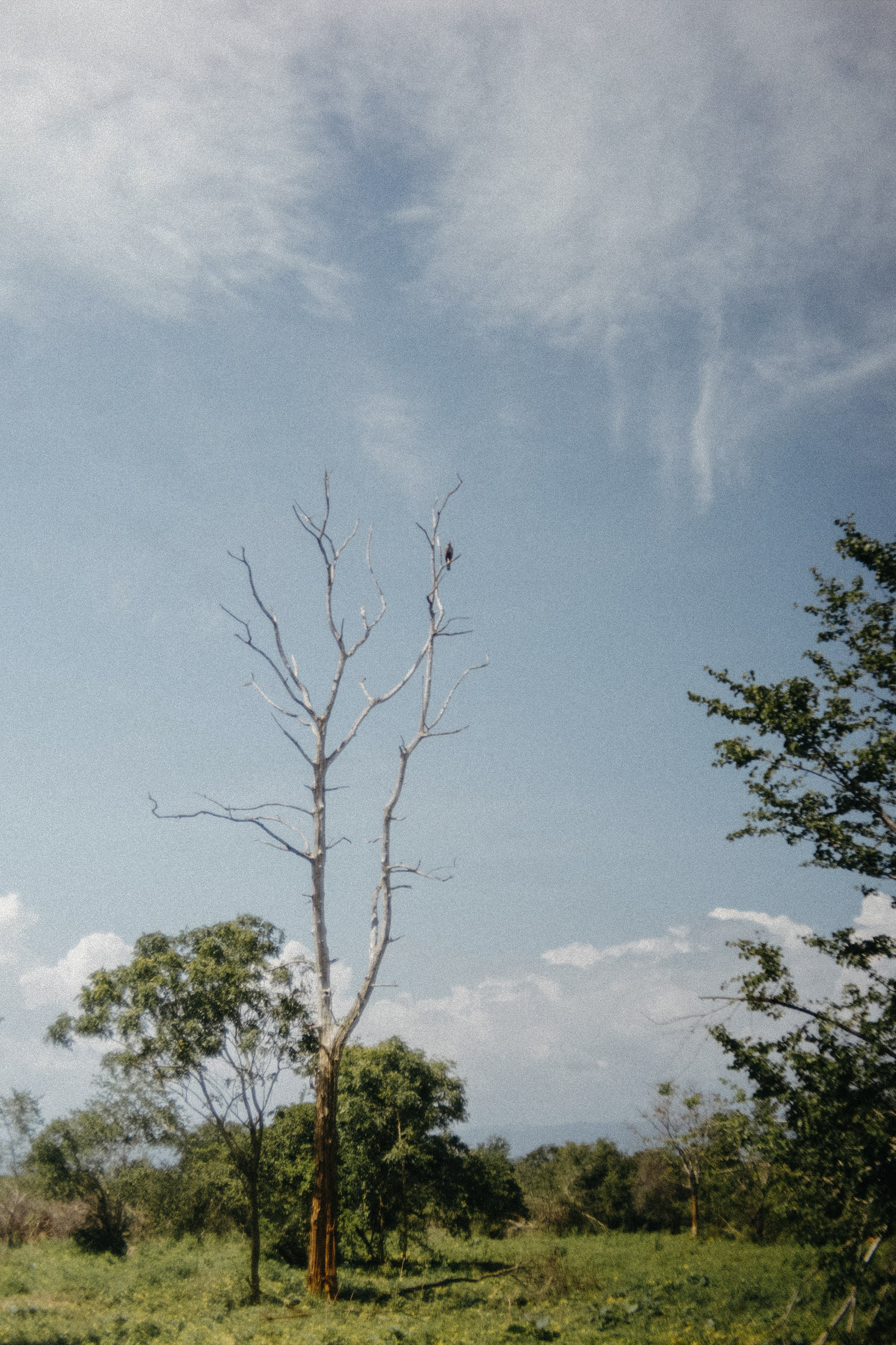 Шри + Бангкок. Фотограф Тбилиси Саша Мороз