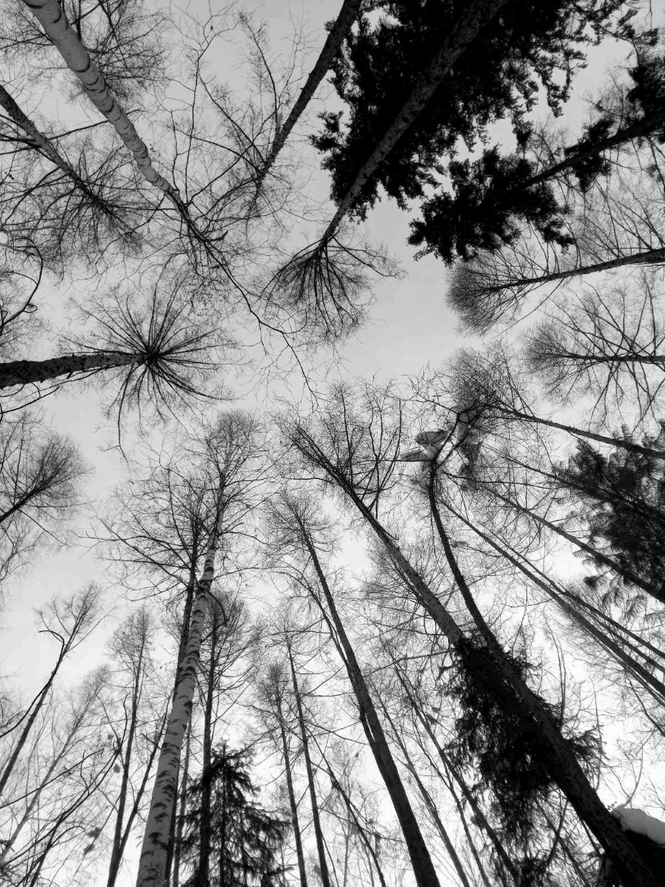 Alina.Dvt — профессиональный фотограф|Красноярск