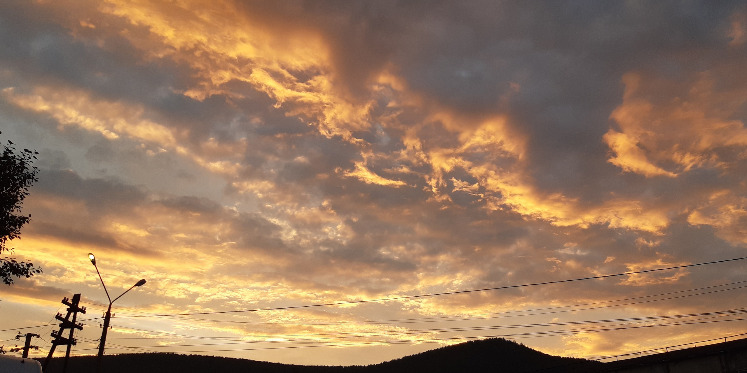 Alina.Dvt — профессиональный фотограф|Красноярск