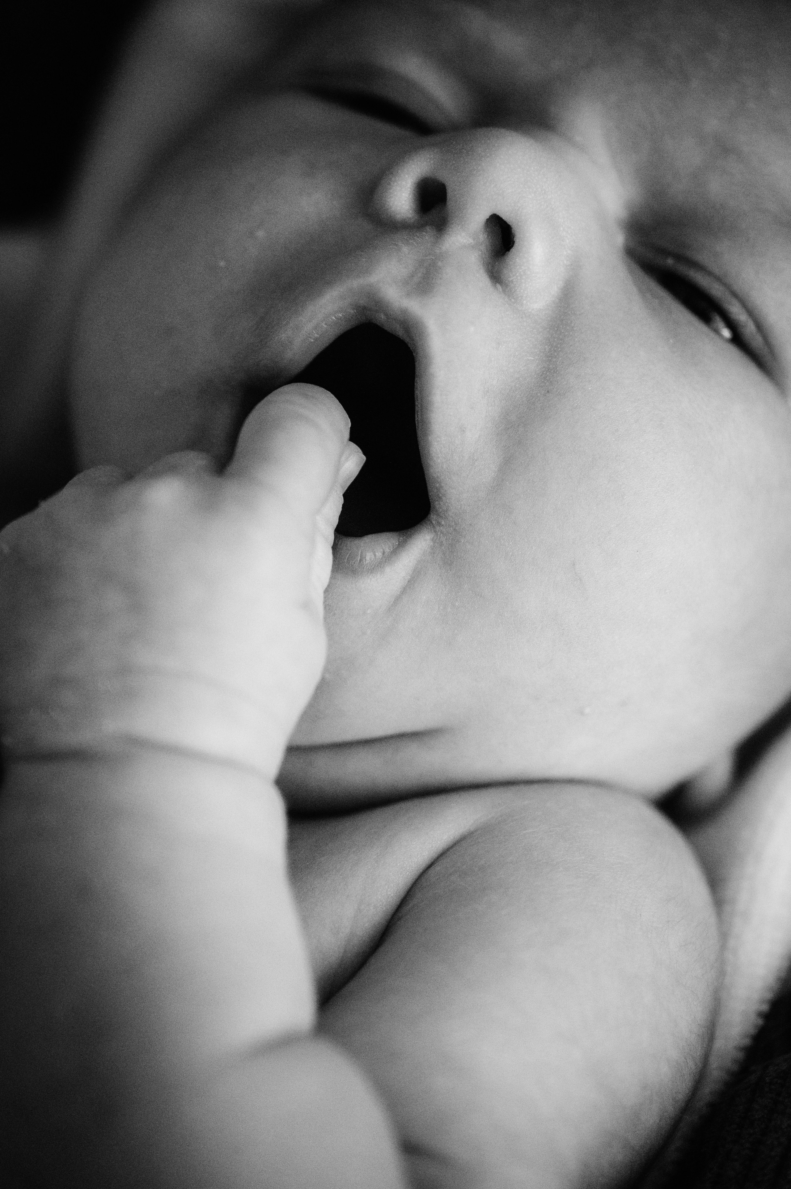 Лизавета, Никита и Мирослава. Фотограф беременности и семьи, домашние съемки, Ньюборн