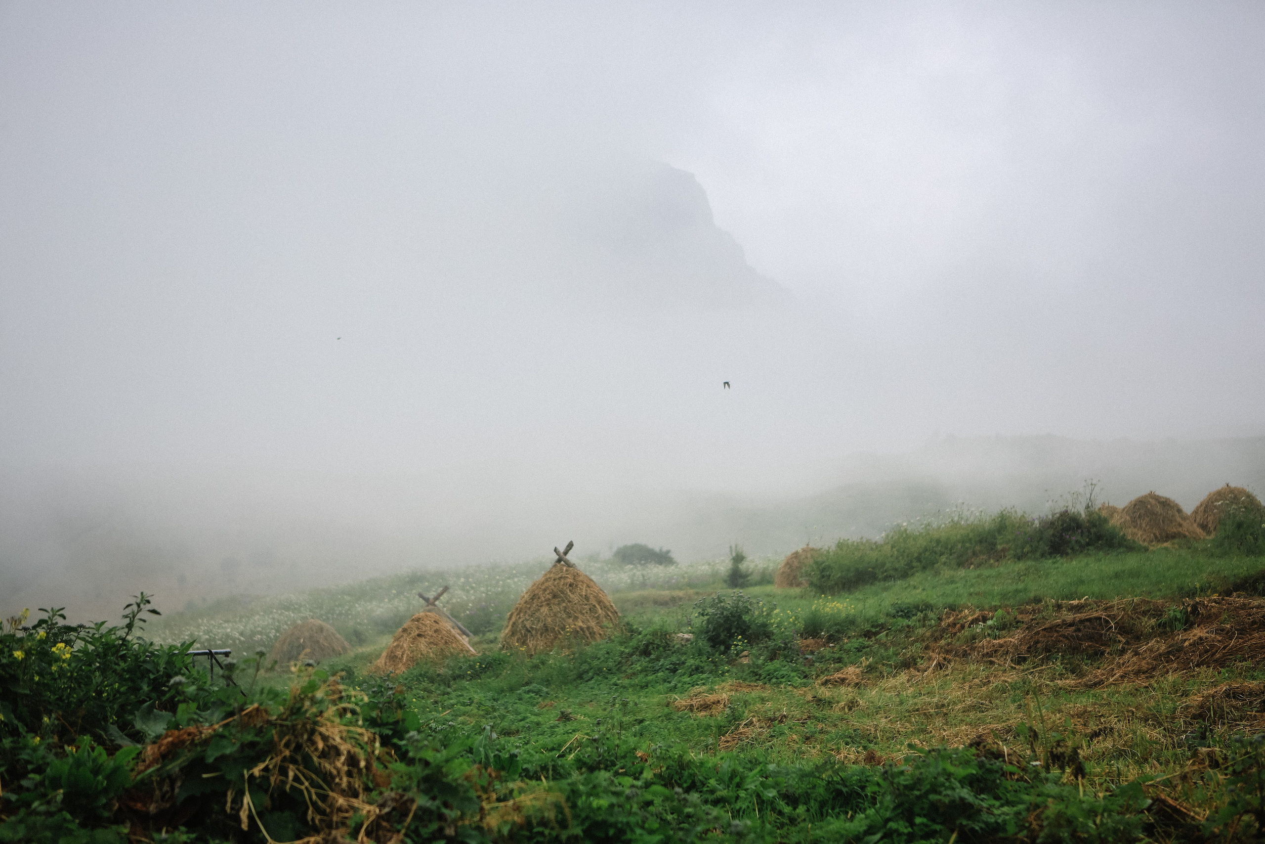 Пресс-тур для Неизвестного Кавказа. Свадебный и портретный фотограф в Пятигорске, КМВ — Власова Юля