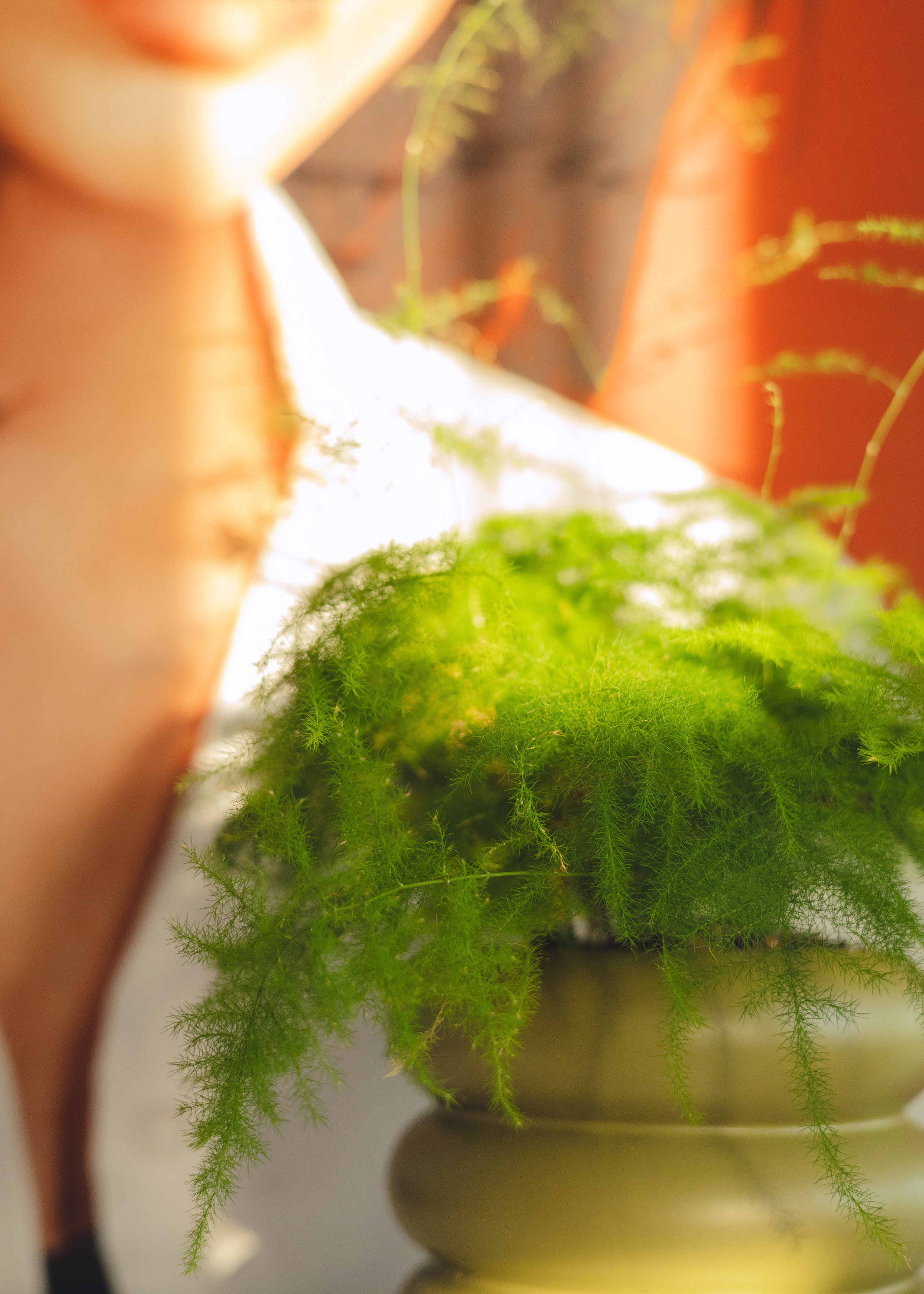 Предметная съемка для бизнеса. Фотограф в Санкт-Петербурге Осокина Елизавета