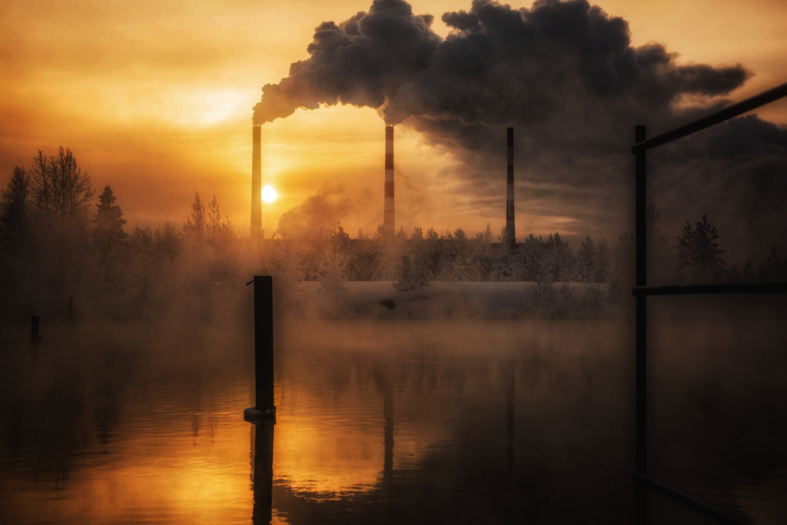 Сургут. Фотограф в г. Сургуте Марина Киприна