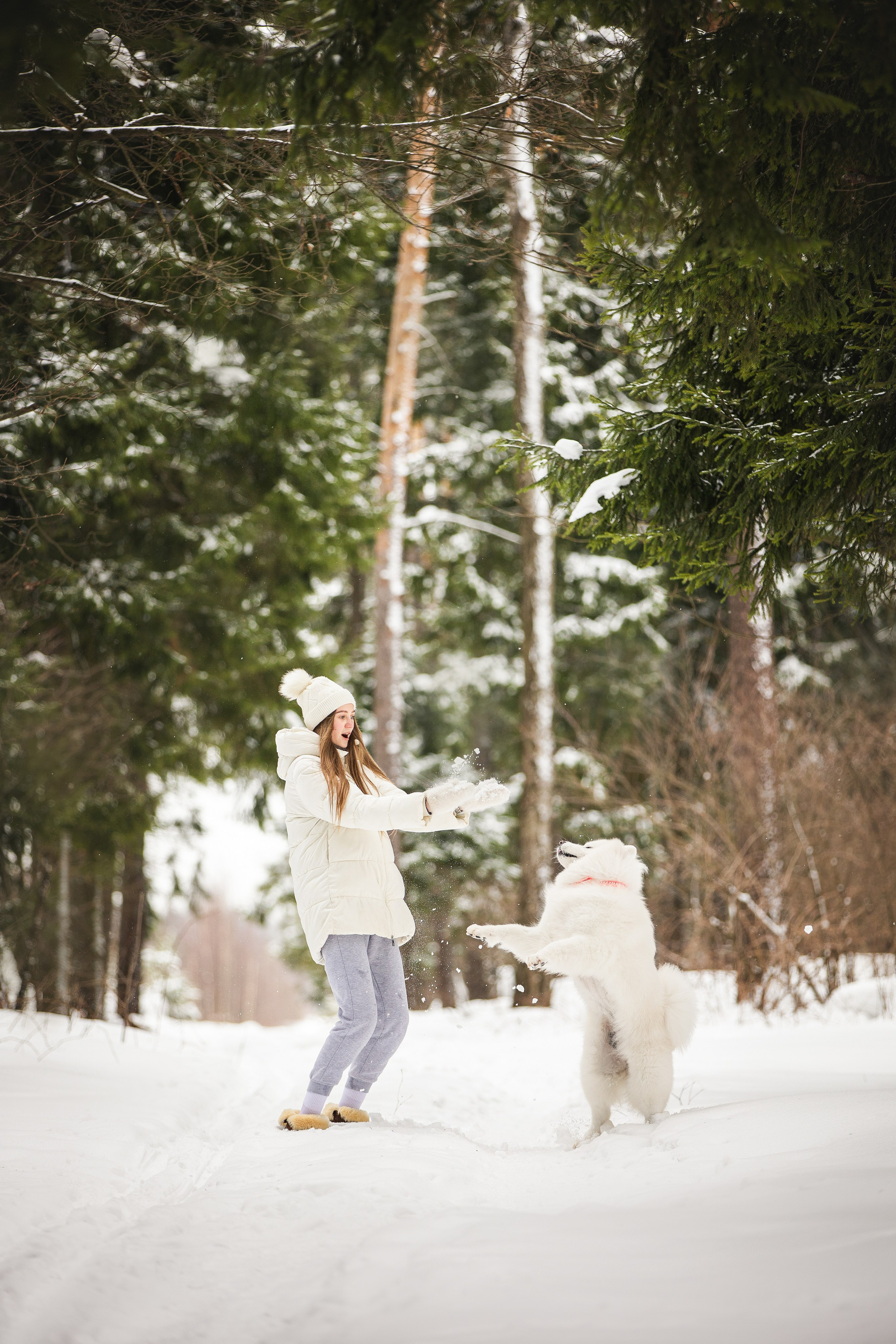 Валя, Варя и Лада. Фотограф анималист в Москве Майорова Евгения