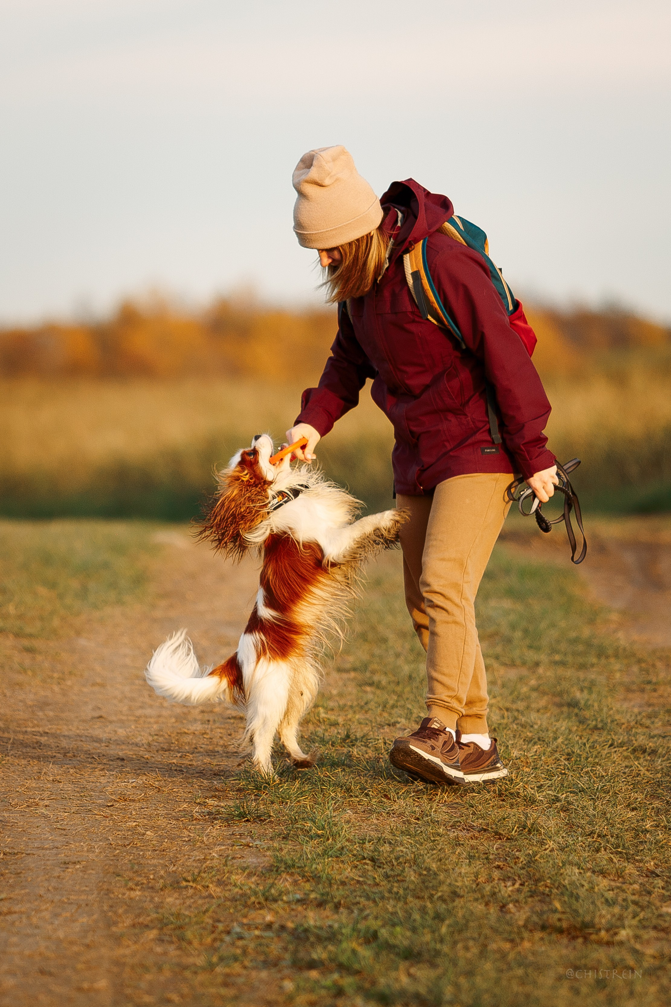 Октябрьский закат в полях. Алина и Лео. Фотограф-анималист Наталия Чистюхина в г. Сосновый Бор и ЛО