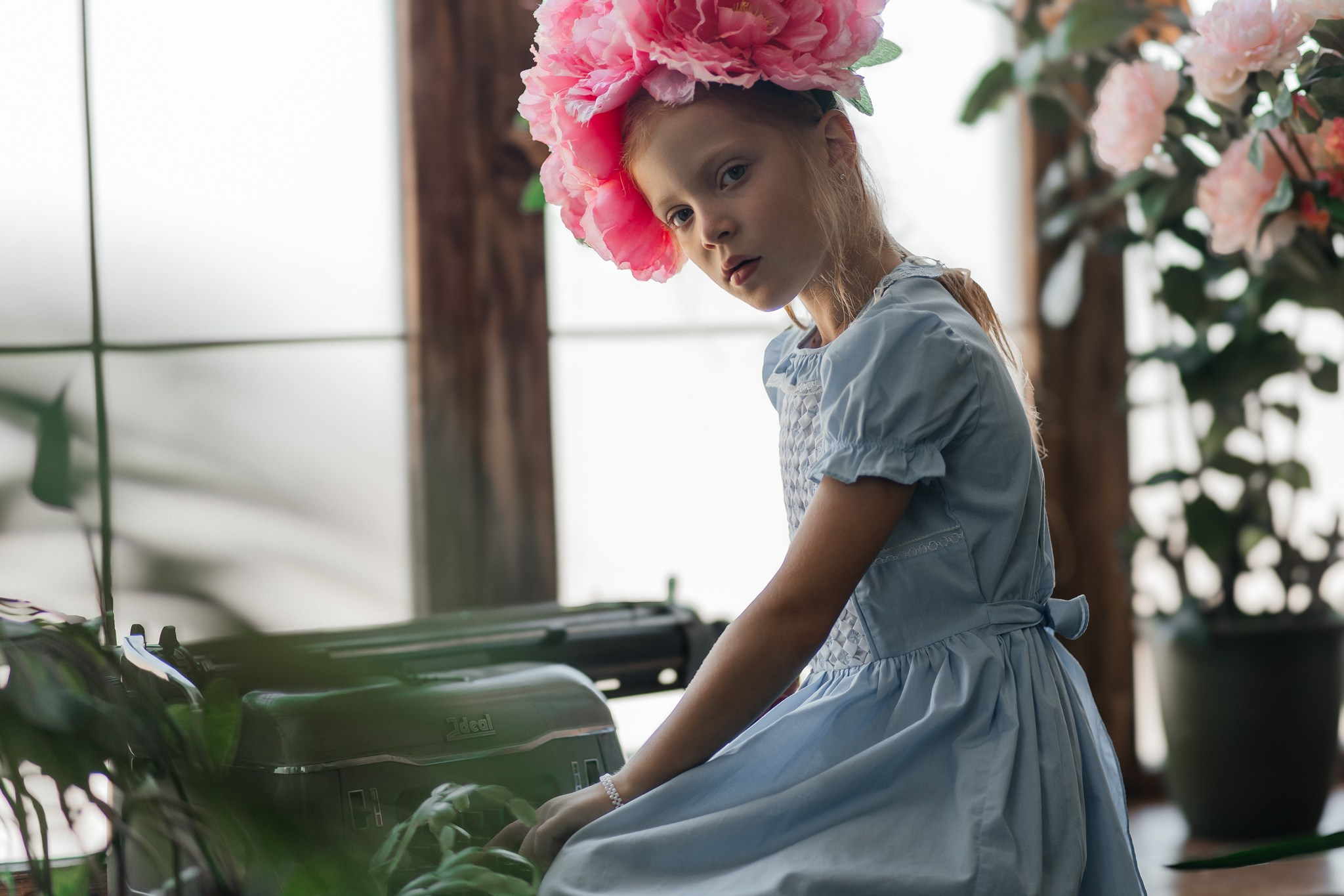 Комнатный цветок. Креатор Ольга Яш