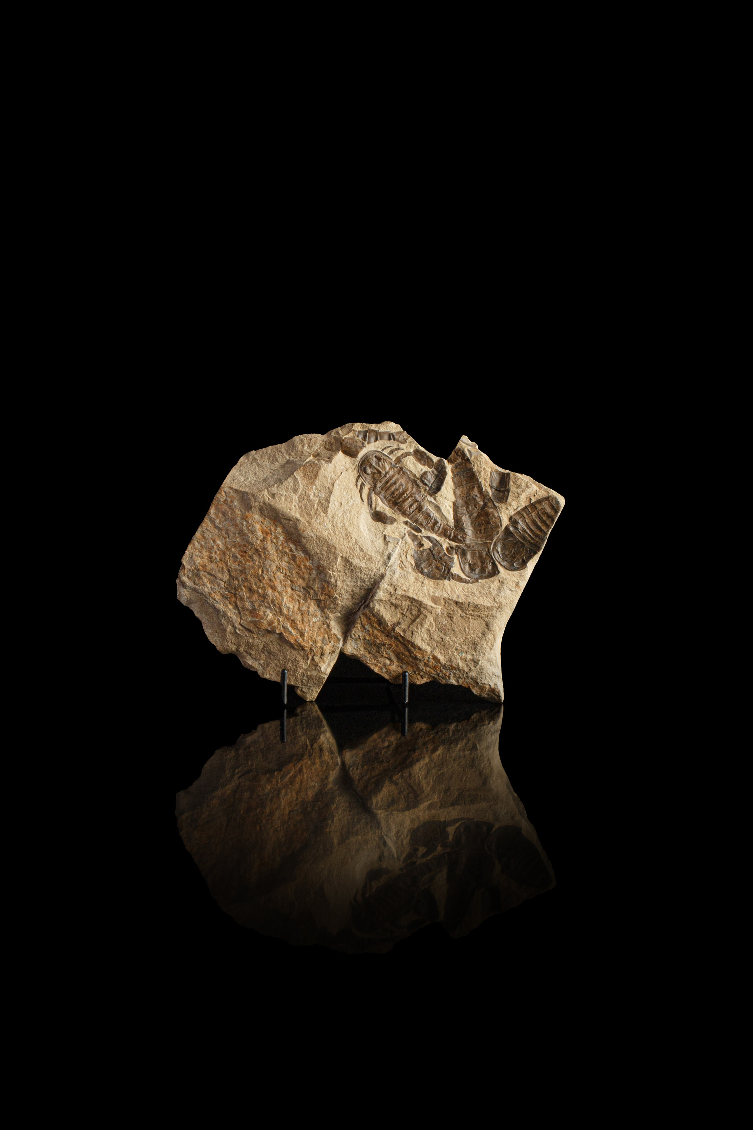 Профессиональная обработка натуральных камней, минералов и ископаемых | Студия SVITHART