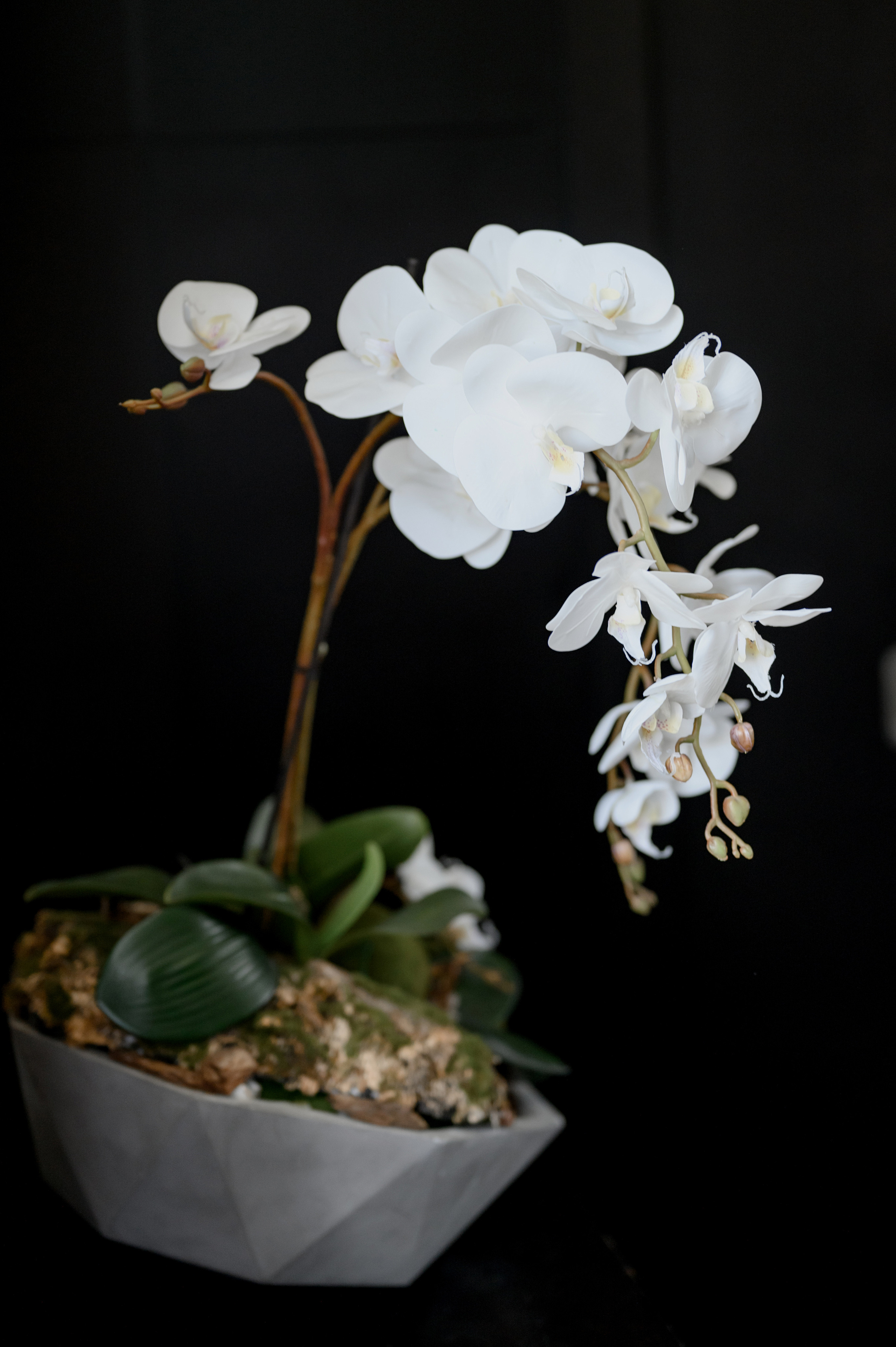 Павел & Гузель. Сергей Каба|Свадебный фотограф Сочи - атмосфера торжества остается с в